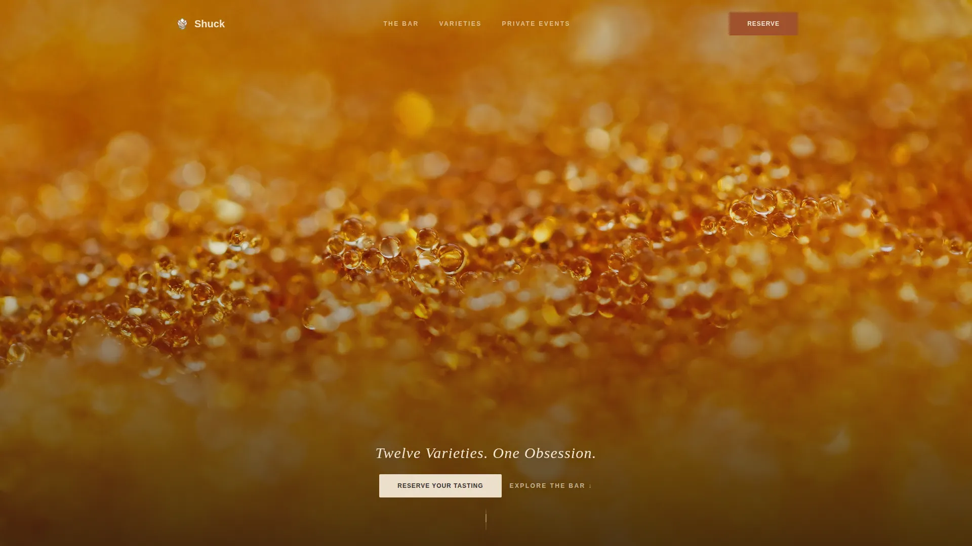 Meat & Seafood Blog & Content Website Template