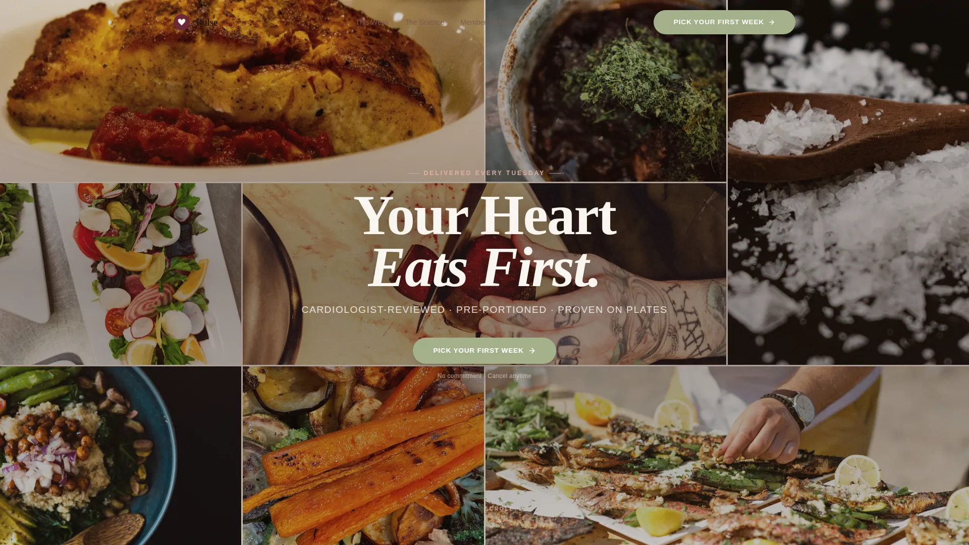 Wholesome Mealkit | Free Website Template | Rocket