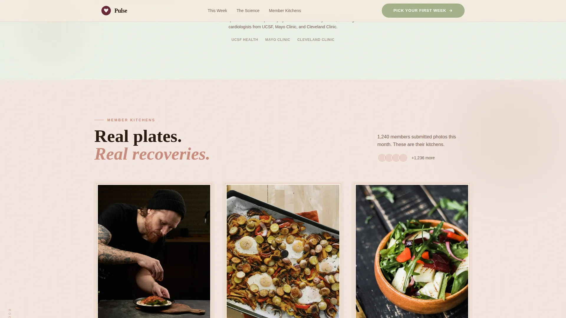 Wholesome Mealkit | Free Website Template | Rocket