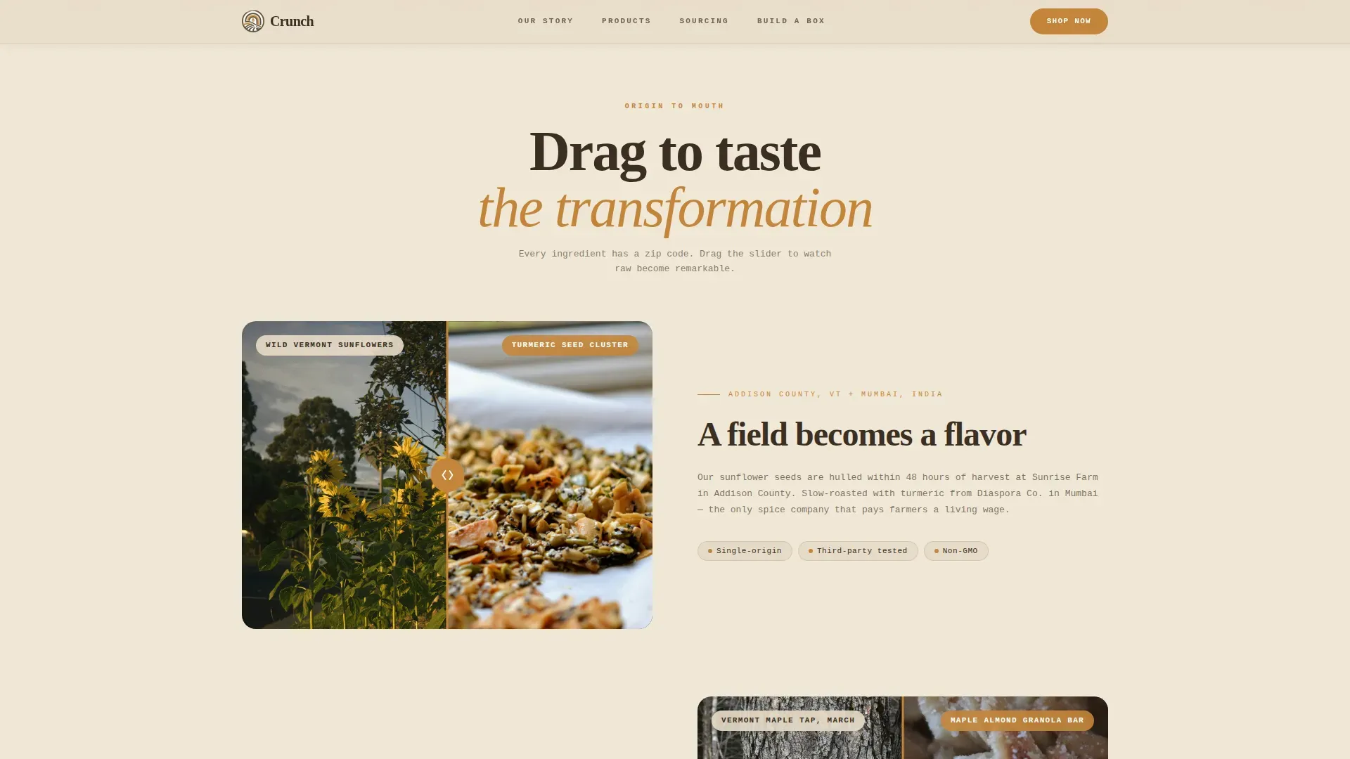 Craft Snack Brand Landing Page Template