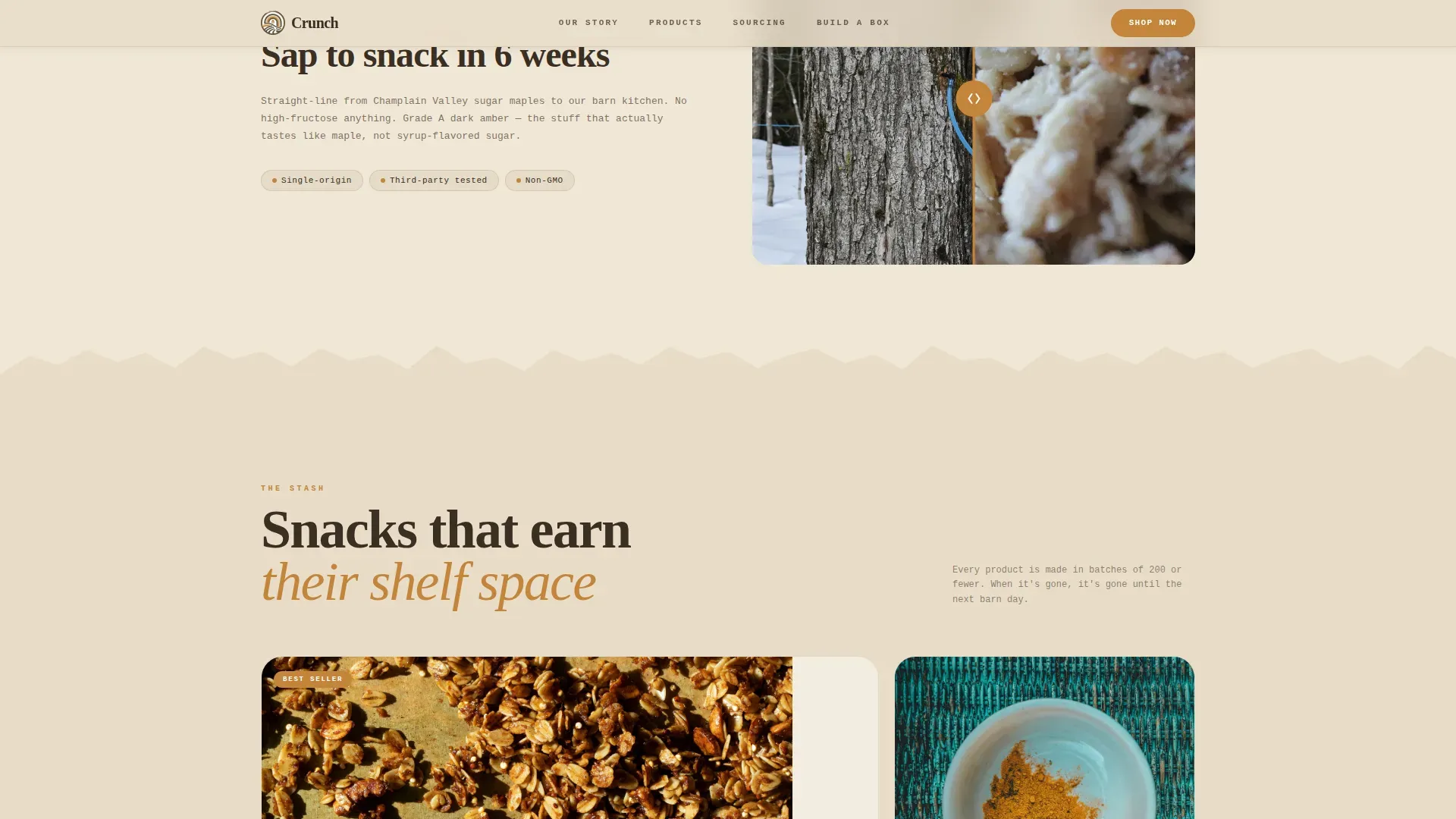 Craft Snack Brand Landing Page Template