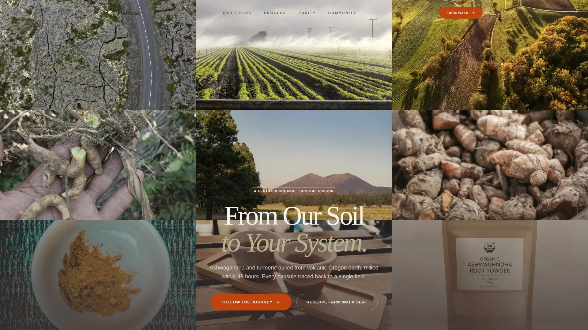 Natural Supplement Landing Page Template