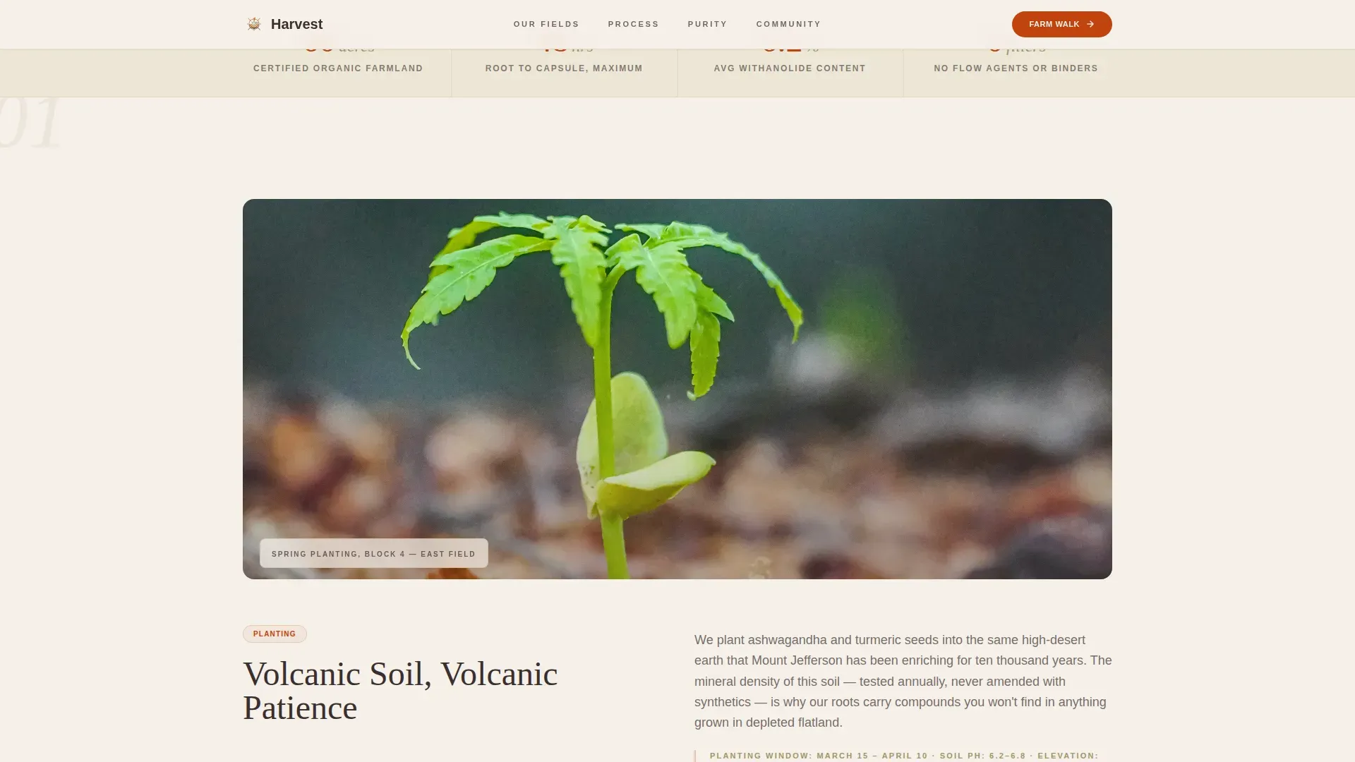 Natural Supplement Landing Page Template