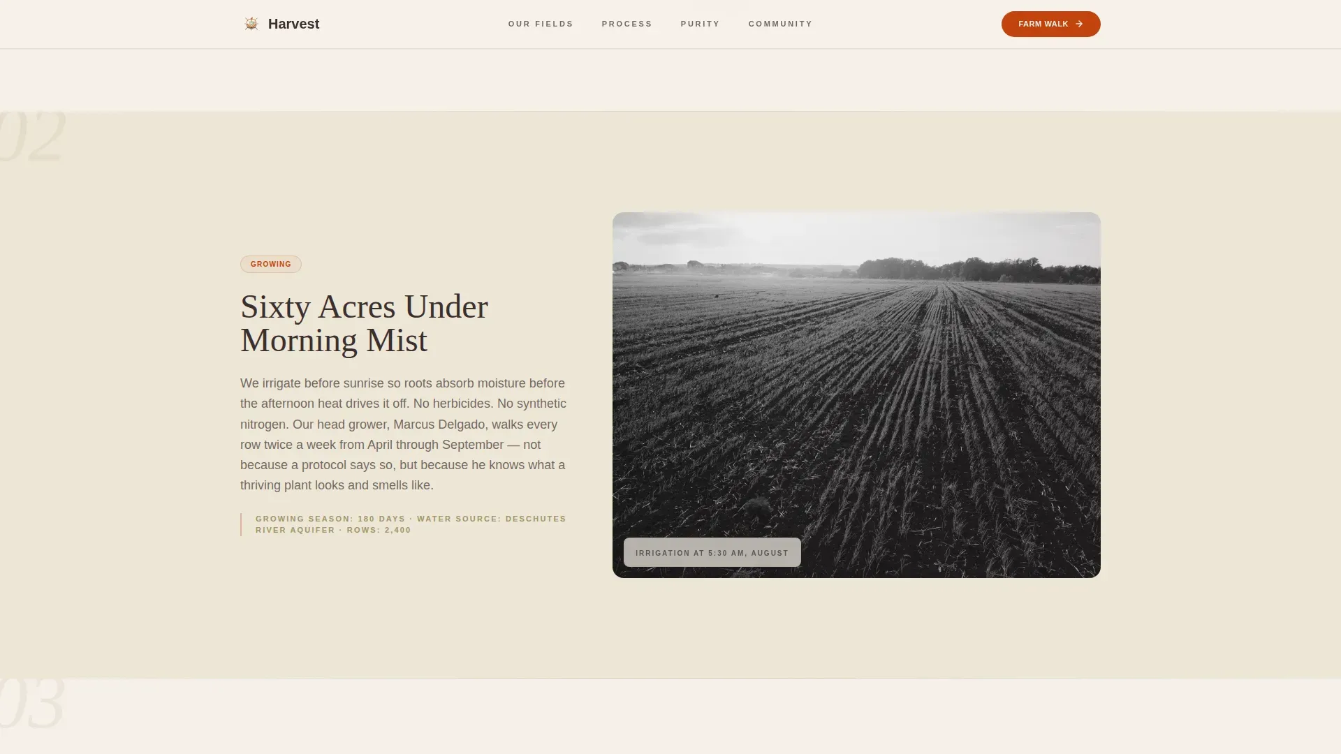 Natural Supplement Landing Page Template