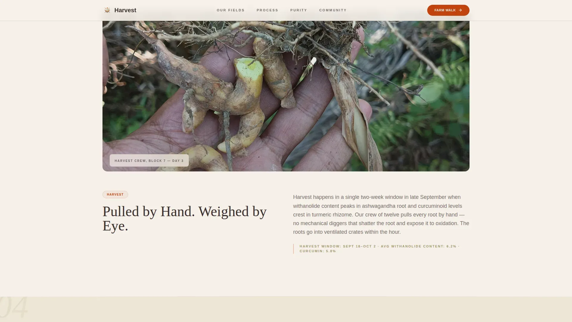 Natural Supplement Landing Page Template