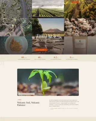 Natural Supplement Landing Page Template