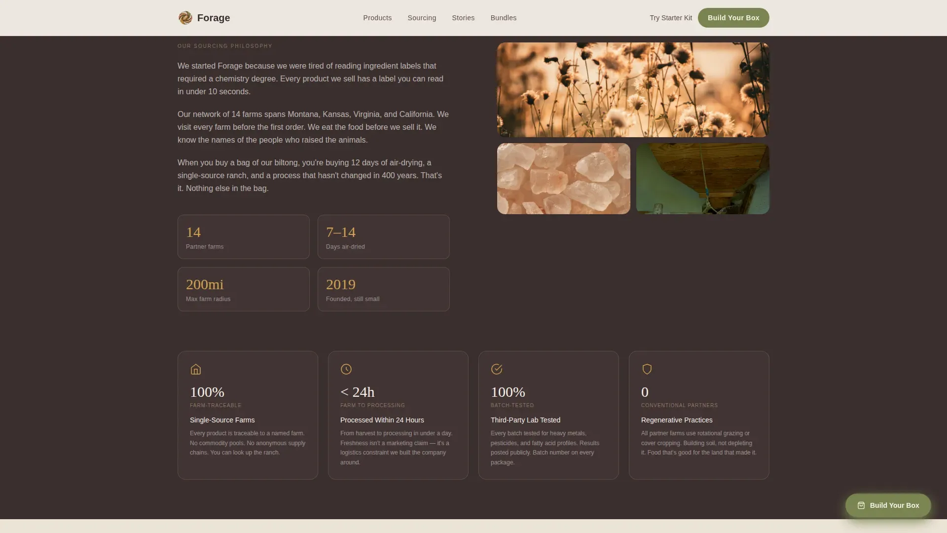 Primal Food Brand Landing Page Template