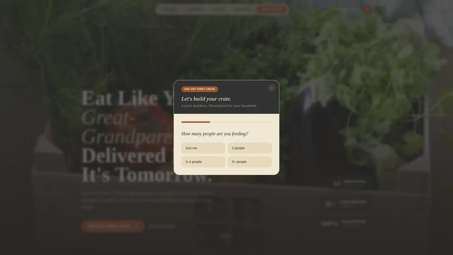 Curated Grocery Delivery Landing Page Template