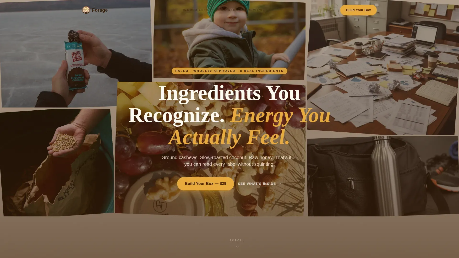 Wholesome Snack Brand Landing Page Template