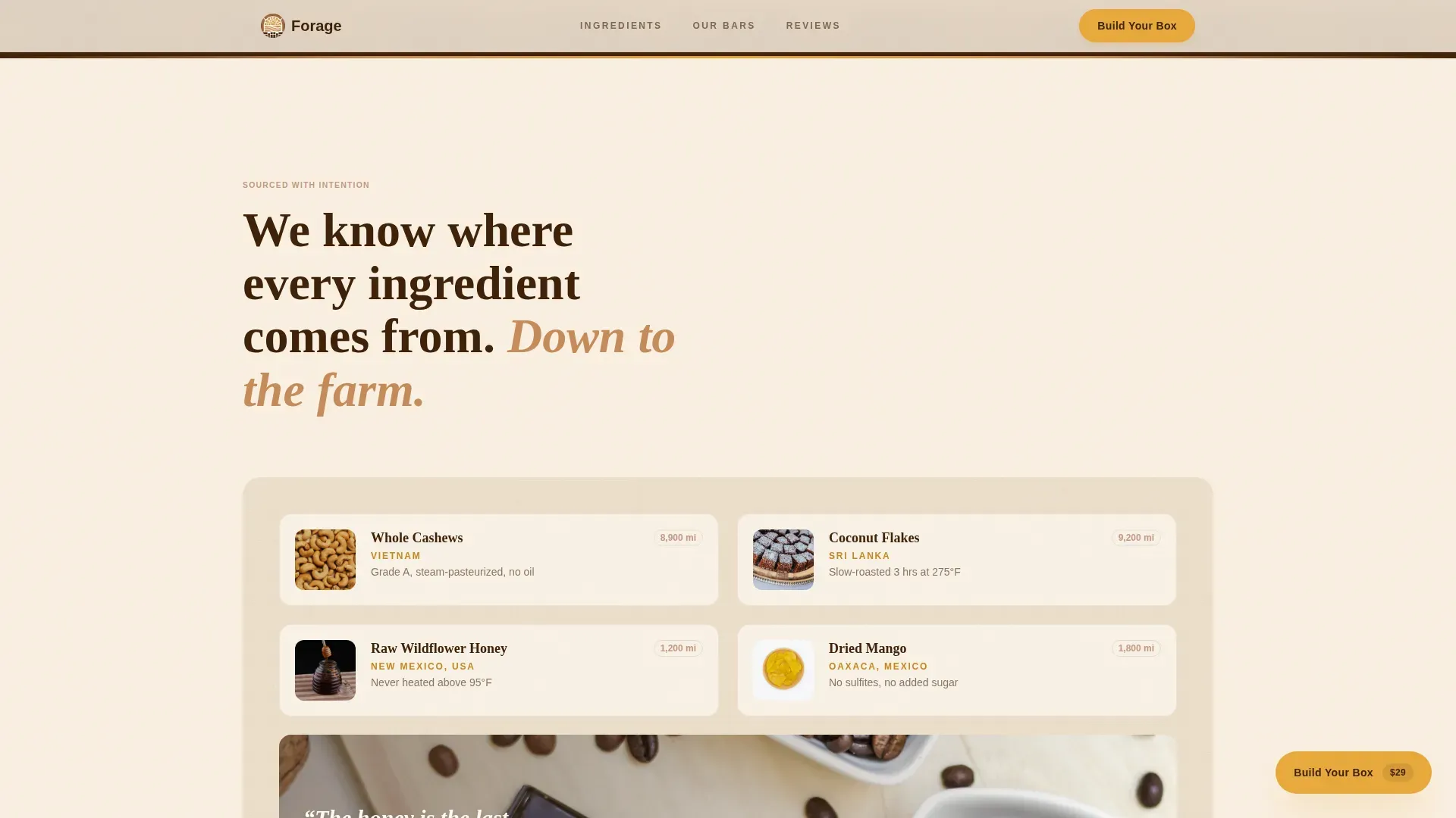 Wholesome Snack Brand Landing Page Template