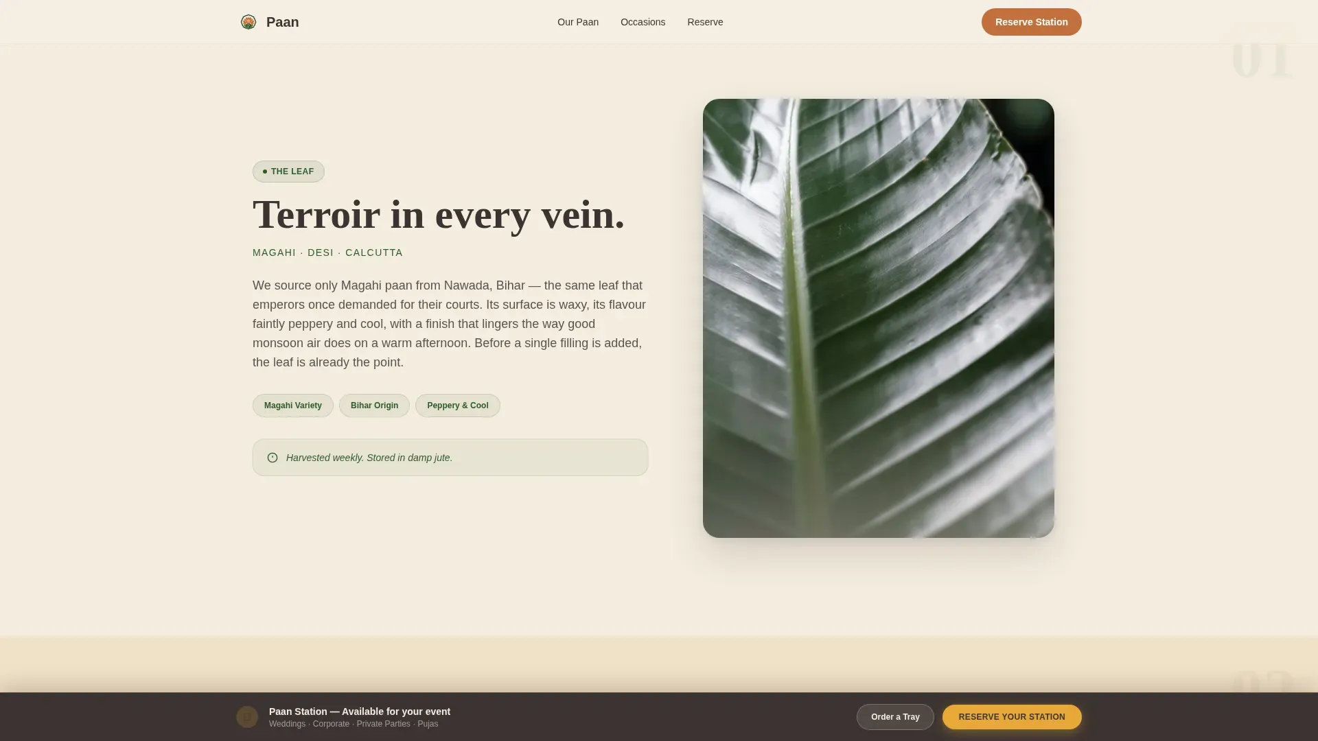 Heritage Betel Shop Landing Page Template