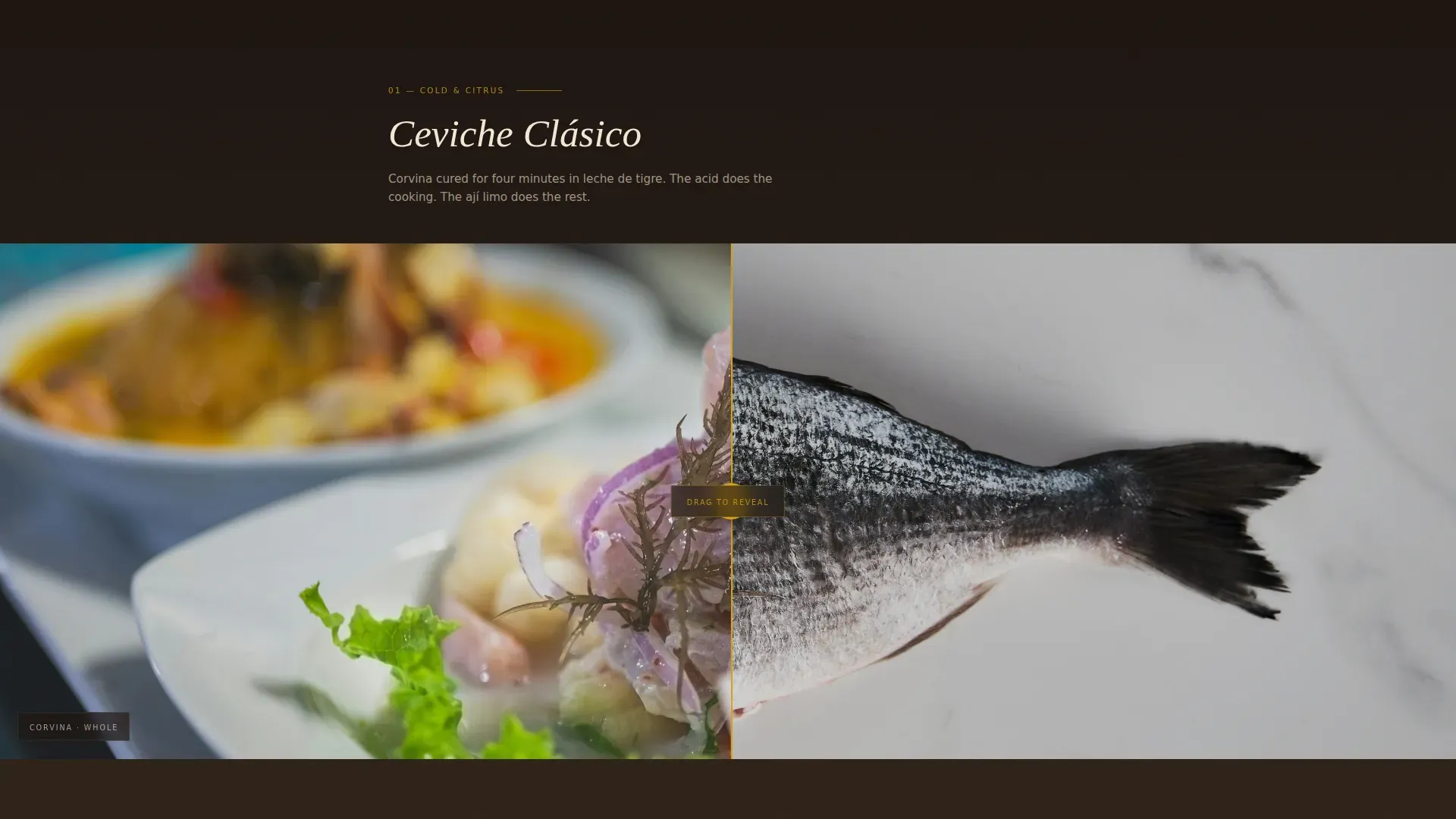 Refined Peruvian Experience Landing Page Template