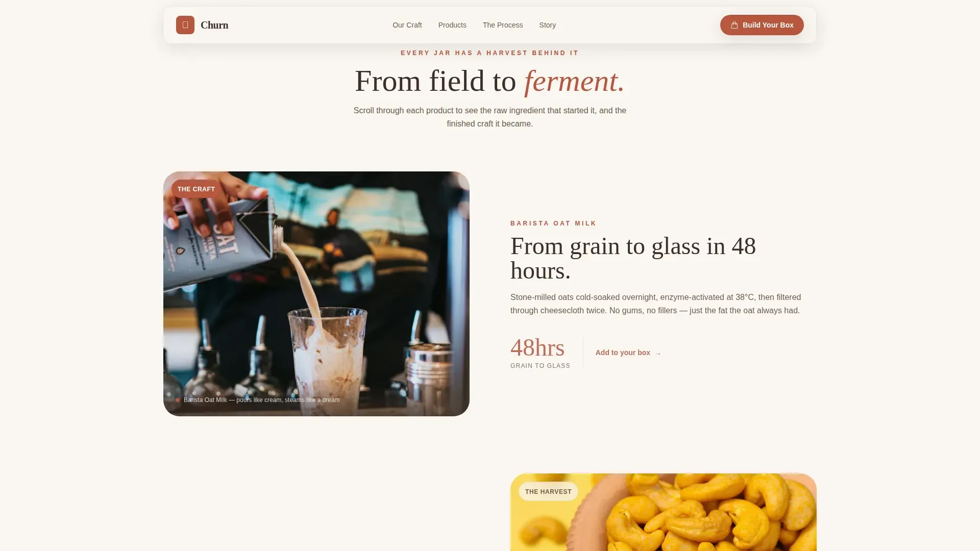 Innovative Plant Dairy Landing Page Template