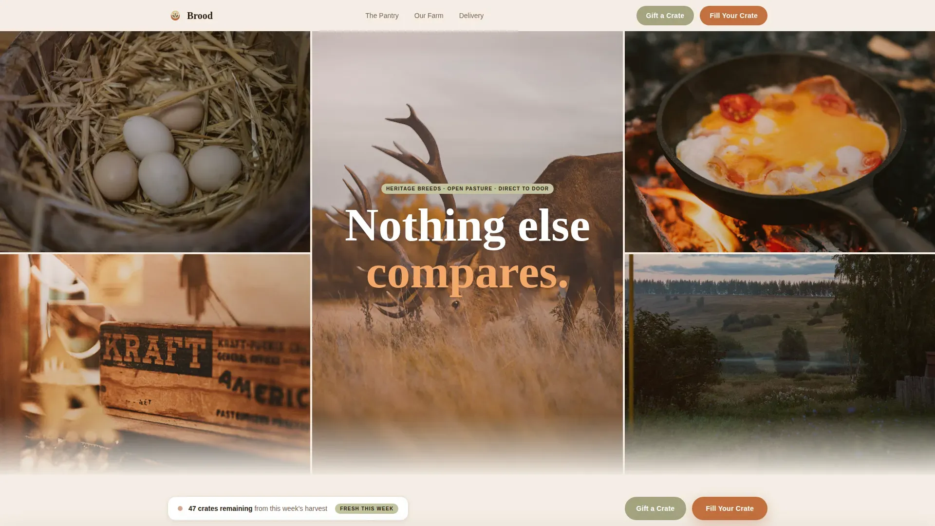 Local Meat & Seafood Professional Website Template