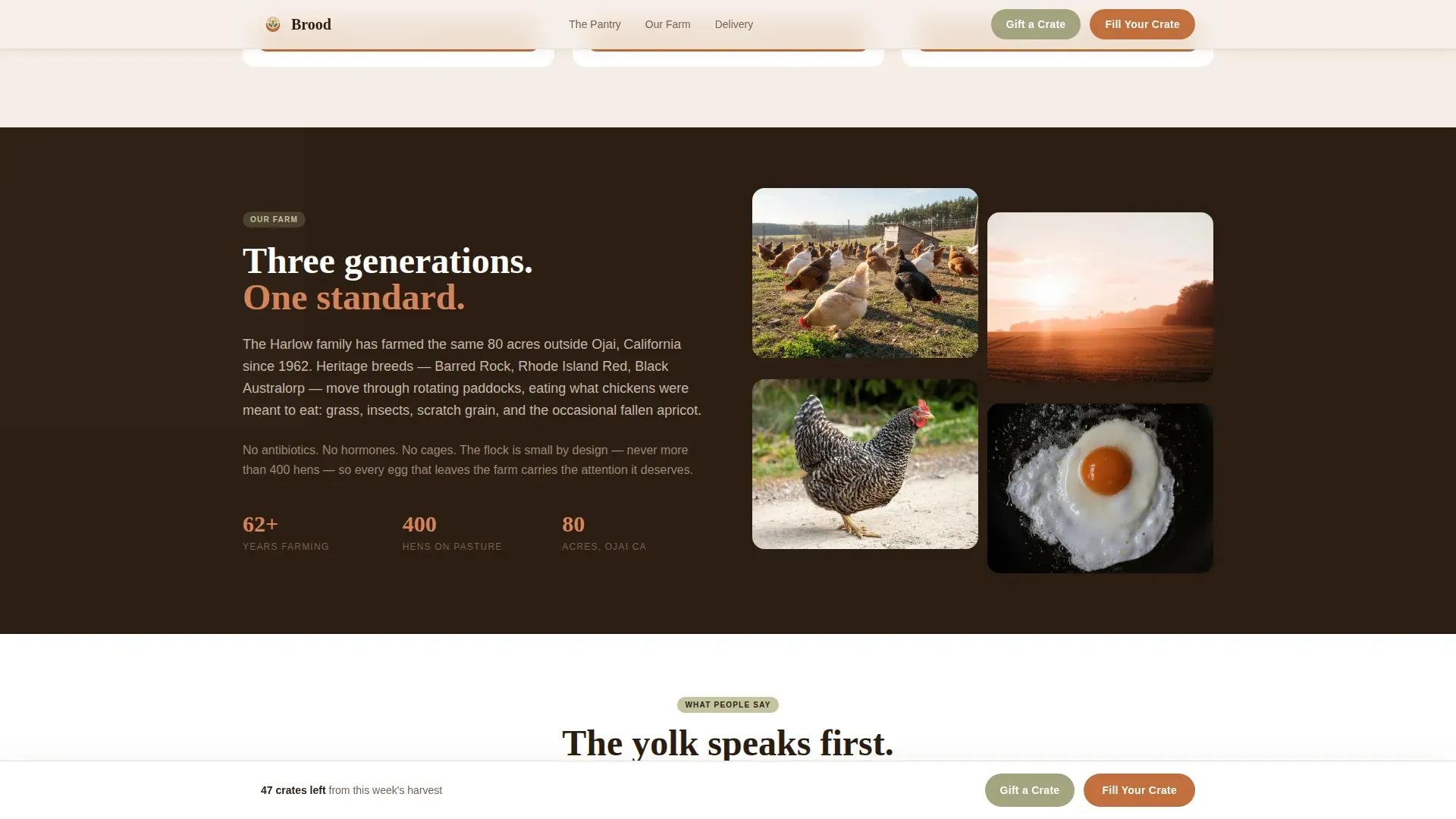 Local Meat & Seafood Professional Website Template