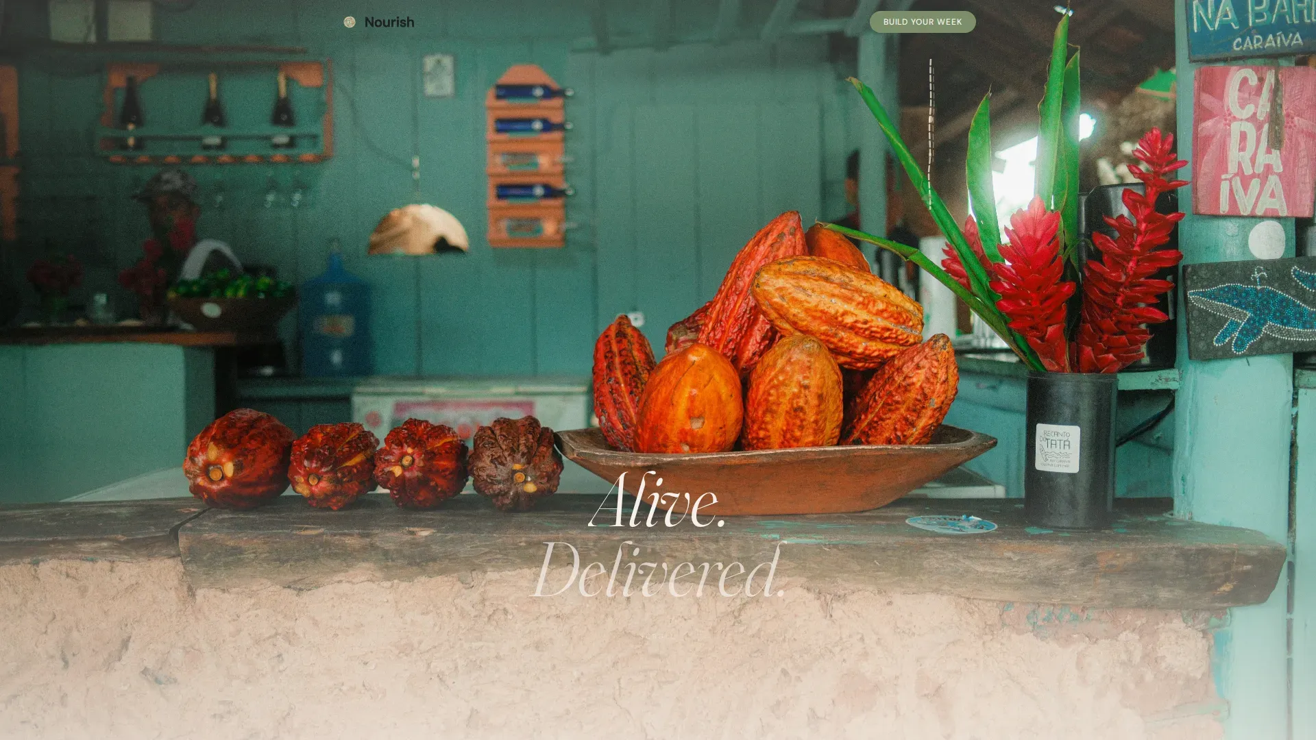 Raw Food Meal Delivery Landing Page Template