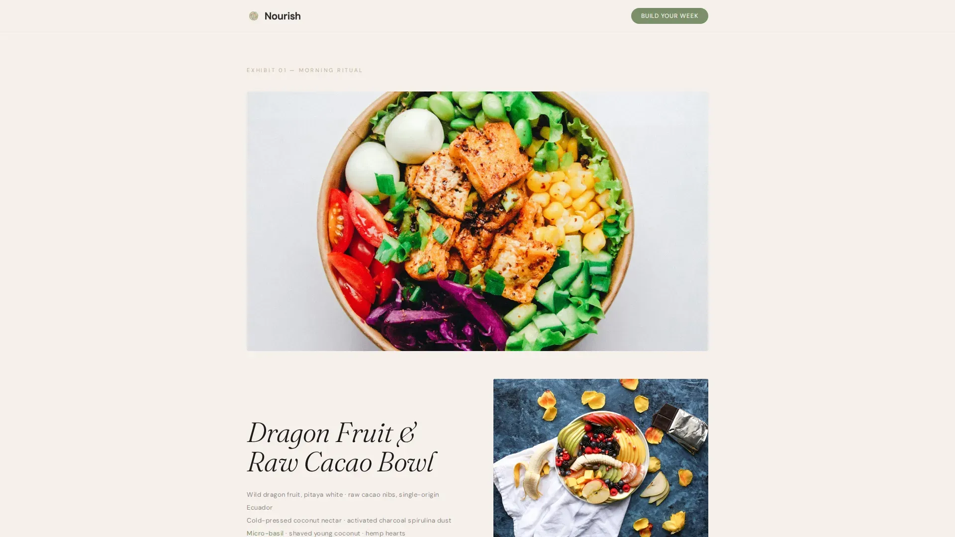 Raw Food Meal Delivery Landing Page Template