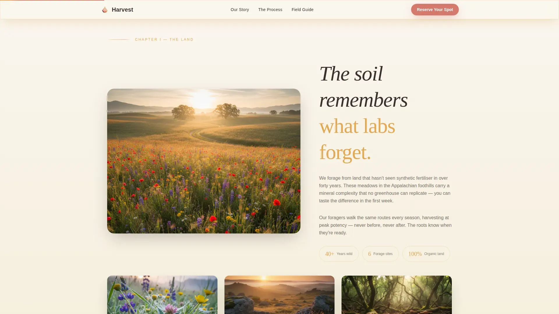 Sacred Soil Raw Supplement Landing Page Template