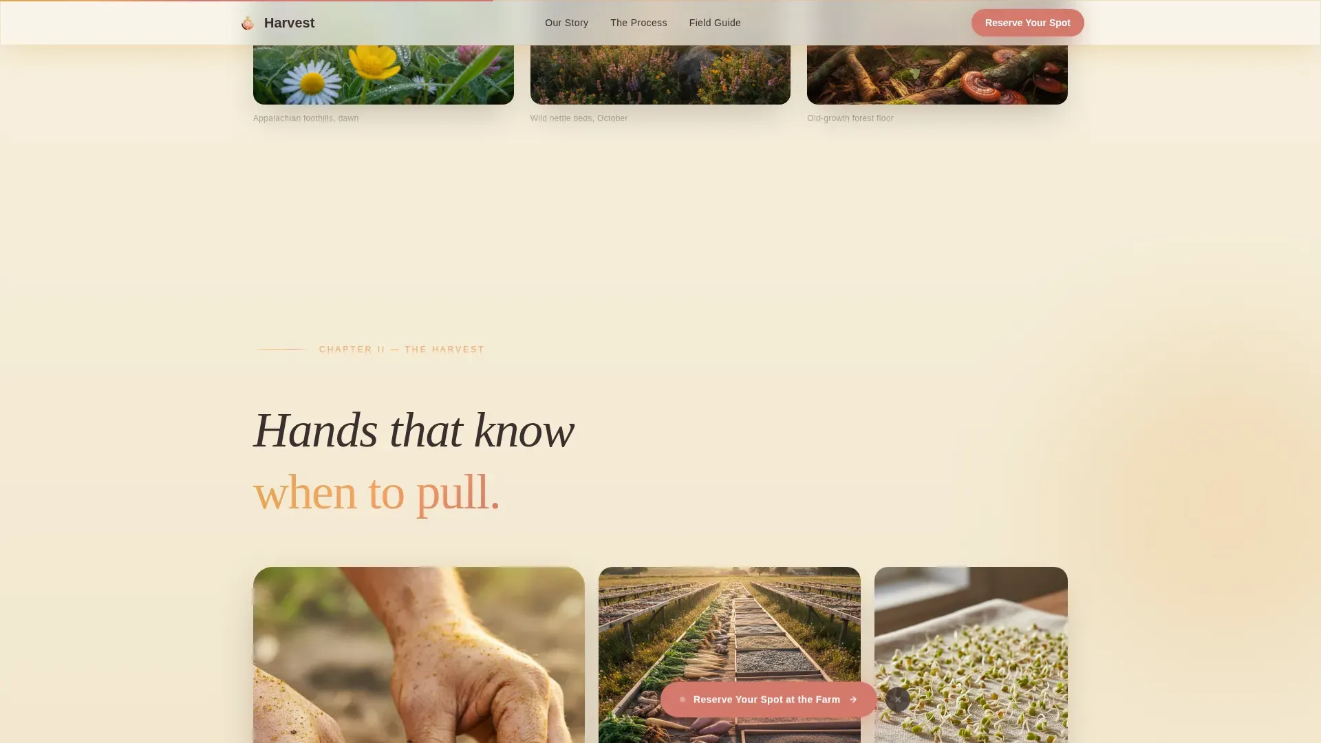 Sacred Soil Raw Supplement Landing Page Template