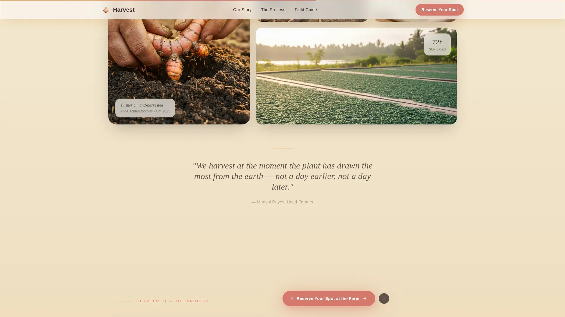 Sacred Soil Raw Supplement Landing Page Template