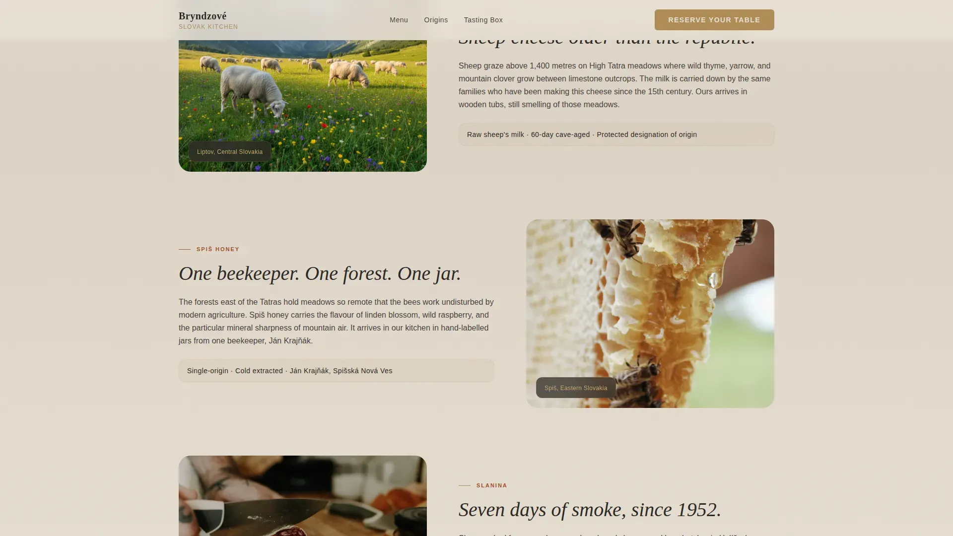 Artisanal Slovak Kitchen Landing Page Template
