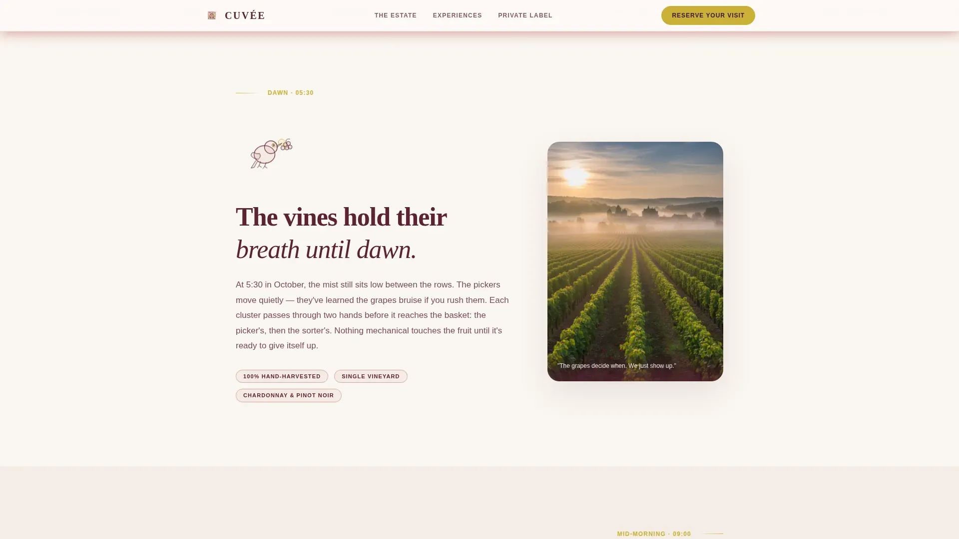 Luxe Sparkling Wine Producer Landing Page Template