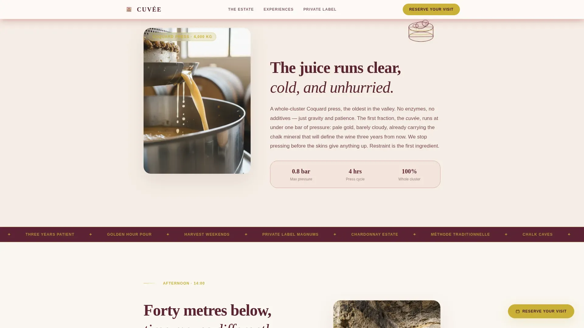 Luxe Sparkling Wine Producer Landing Page Template