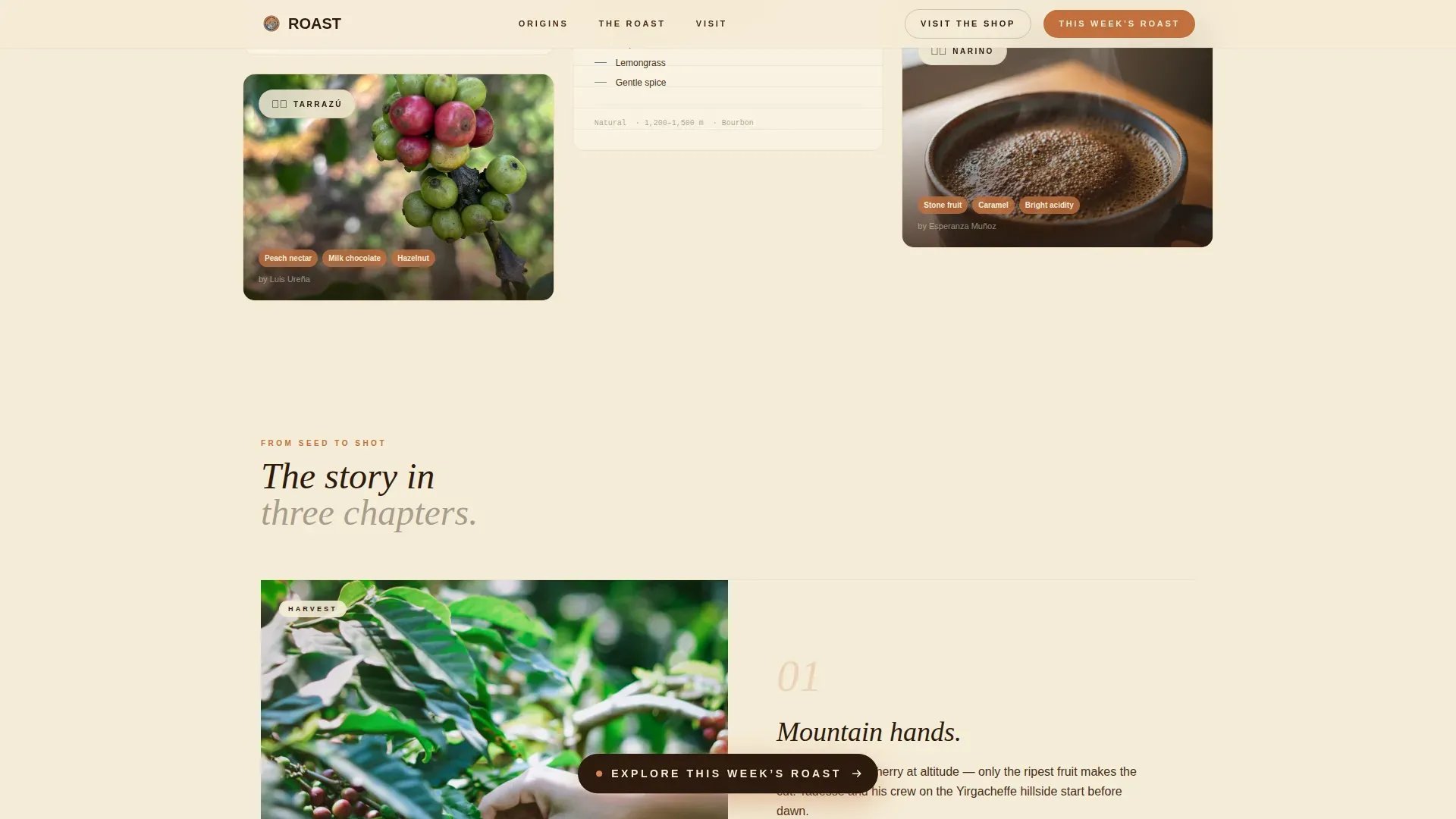 Specialty Coffee Roaster Origin Story & Direct Sales Website Template