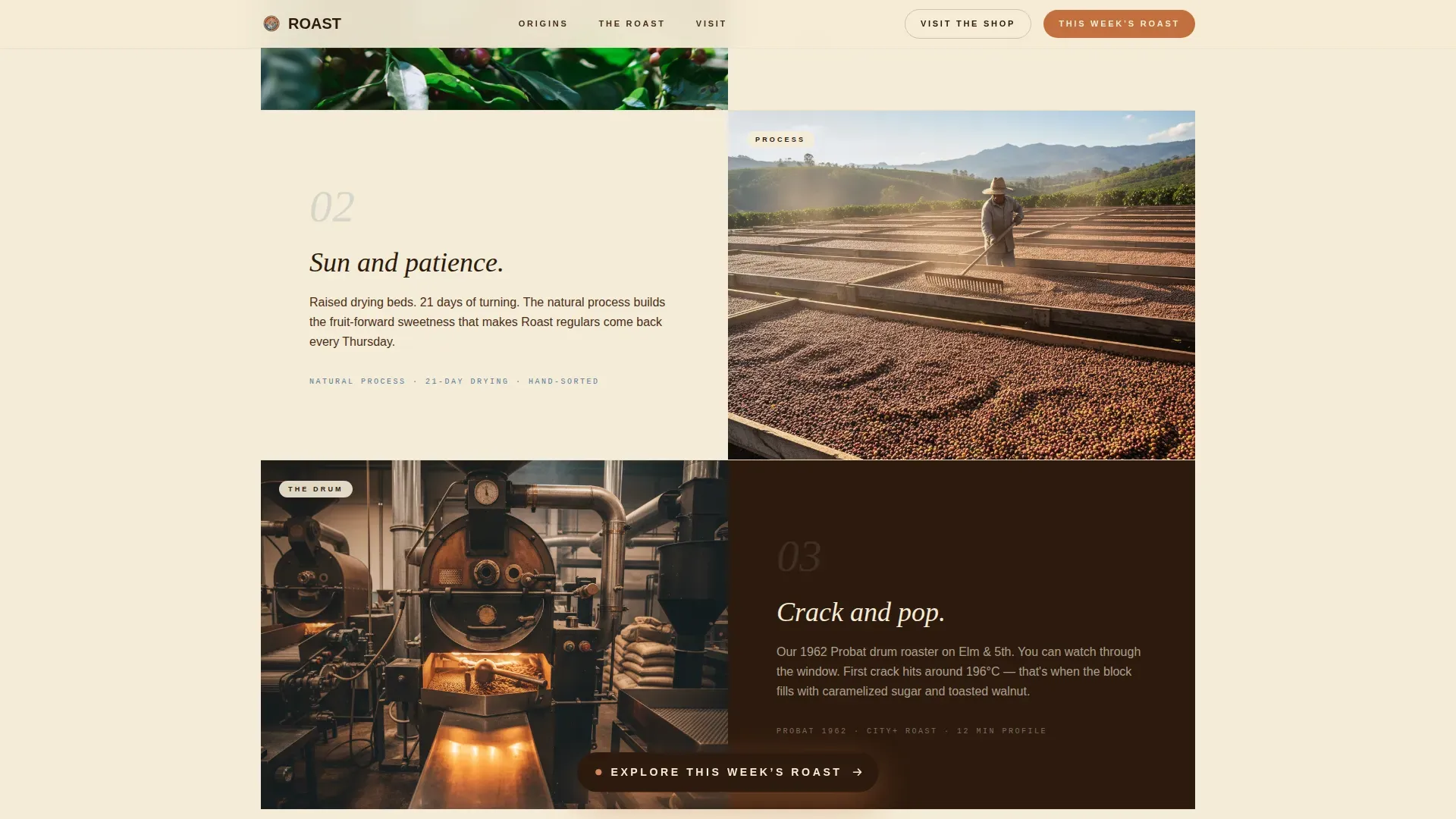 Specialty Coffee Roaster Origin Story & Direct Sales Website Template