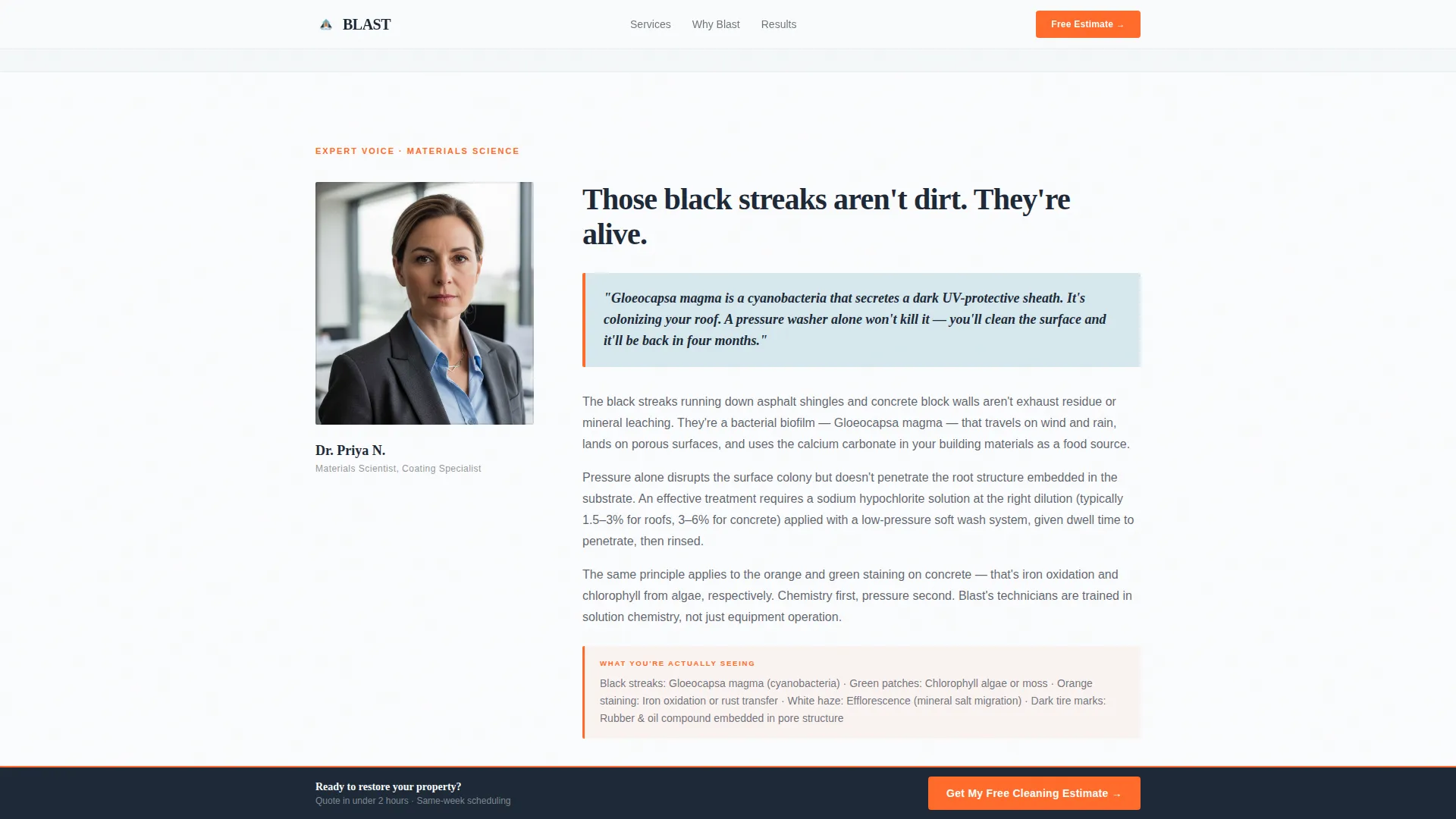 Pressure Washer Marketing Reviews Website Template