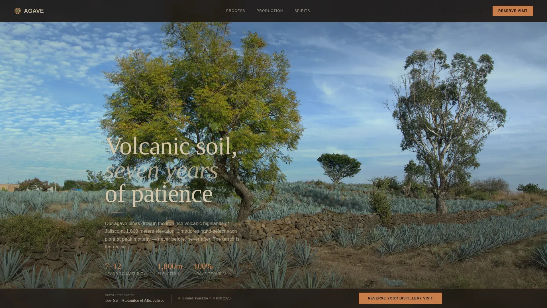 Immersive Distillery Booking Landing Page Template