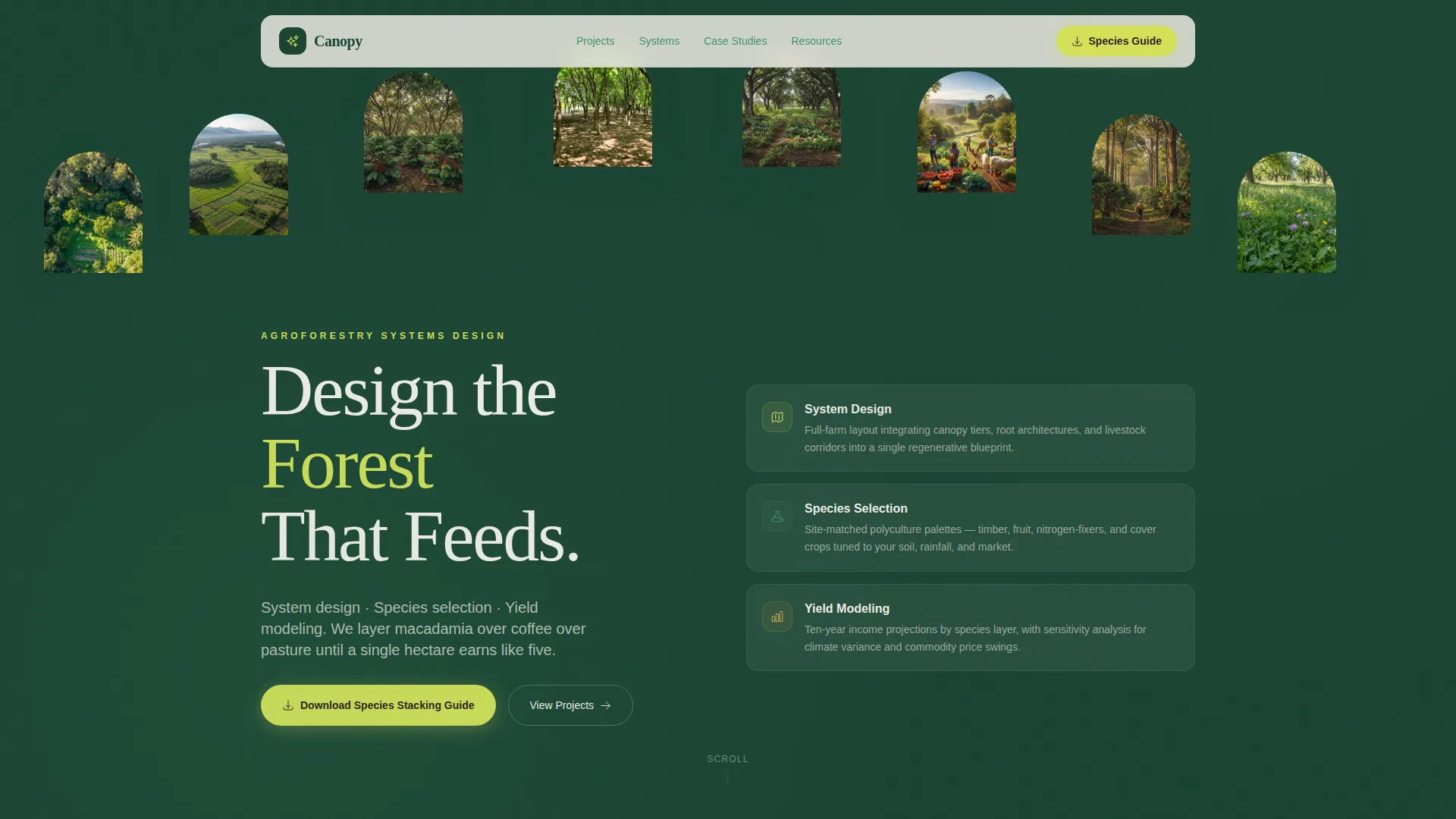 Forestry & Timber Professional Website Template