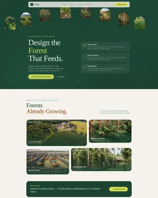 Forestry & Timber Professional Website Template