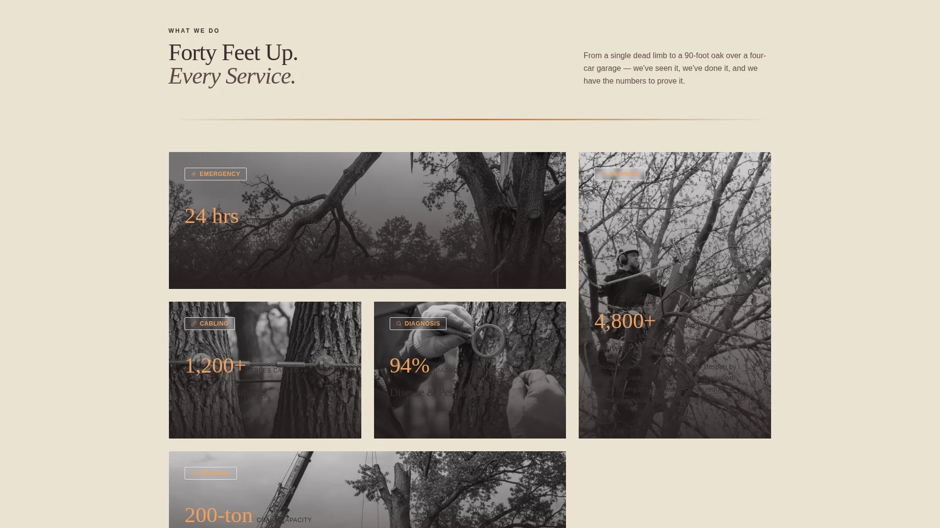 Certified Tree Care Landing Page Template