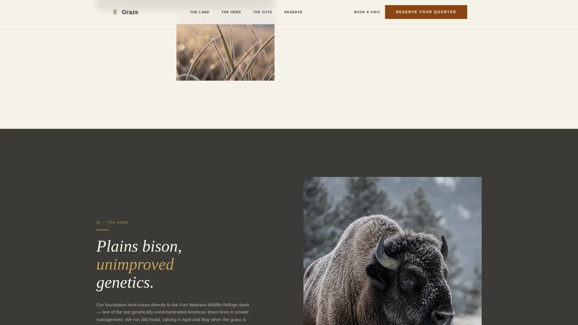 Livestock & Animal Husbandry Professional Website Template