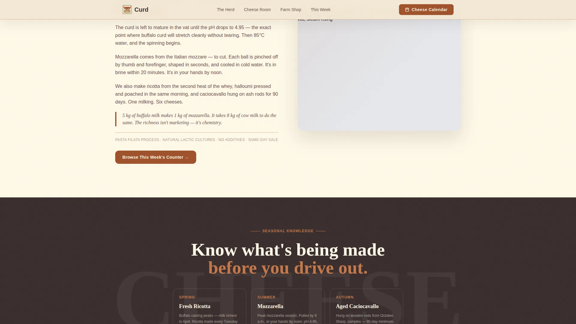 Dairy & Poultry Farm Professional Website Template