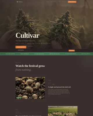 Cannabis Industry Booking Website Template