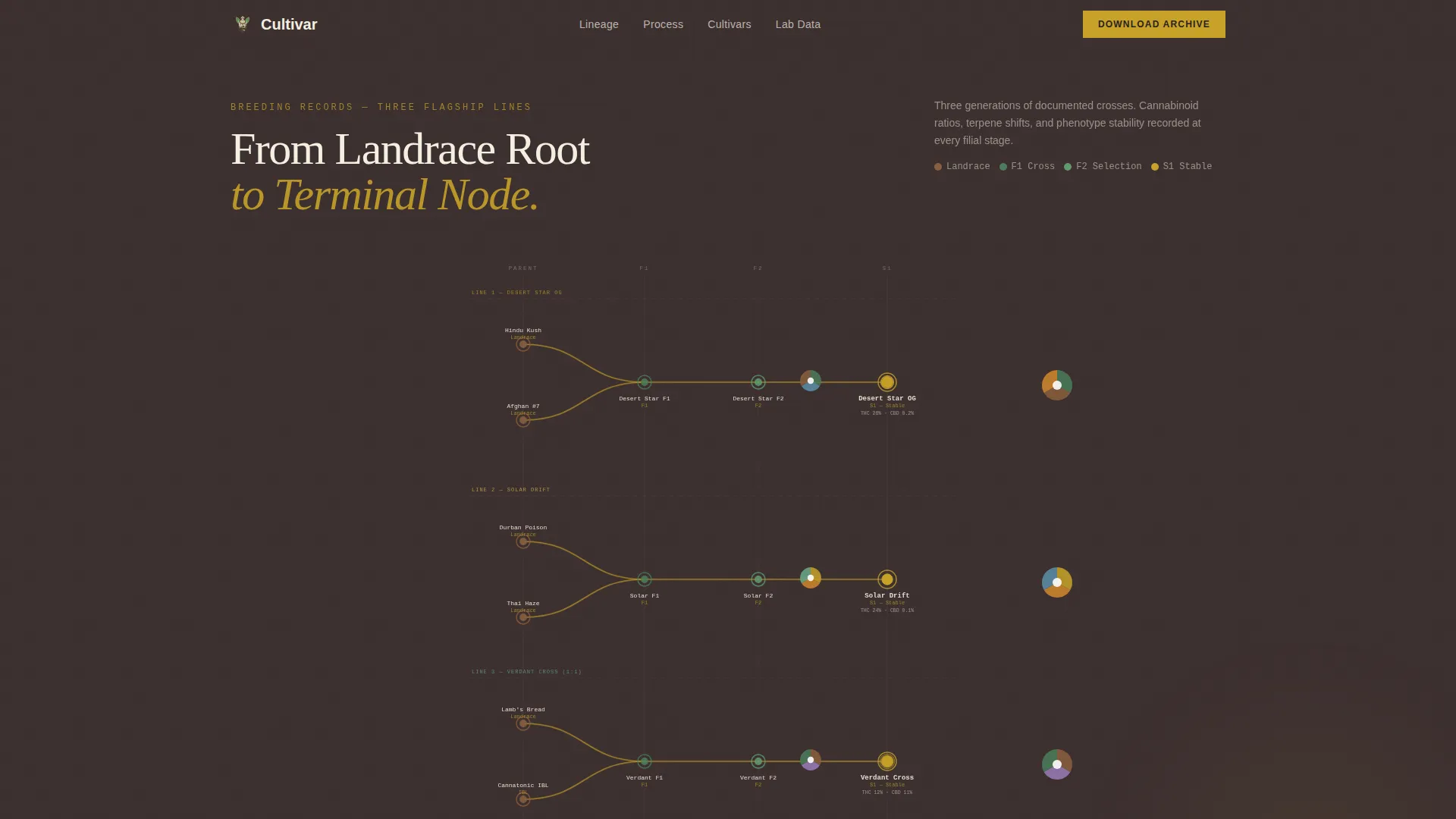 Cannabis Industry Specialist Professional Website Template