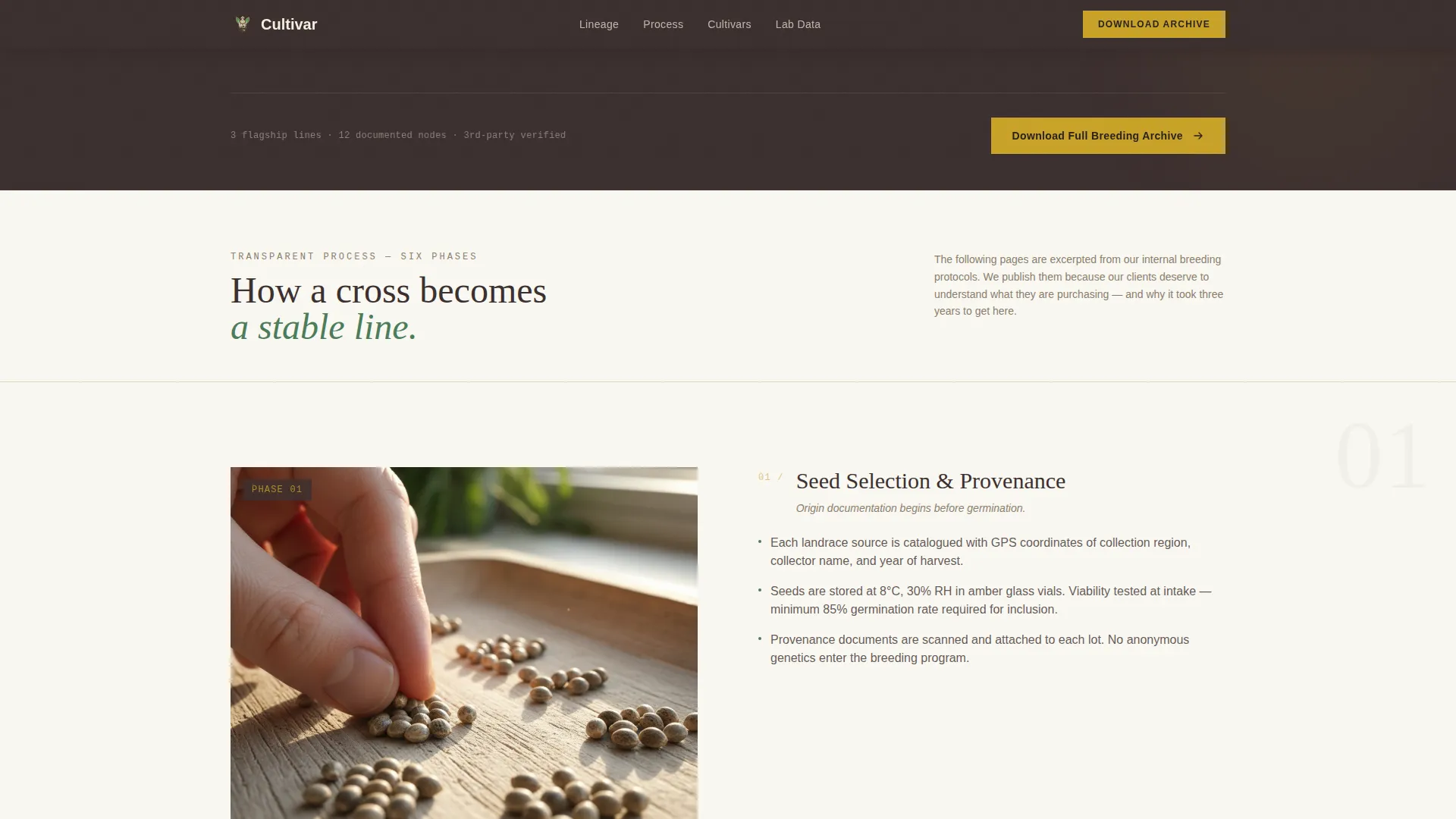Cannabis Industry Specialist Professional Website Template