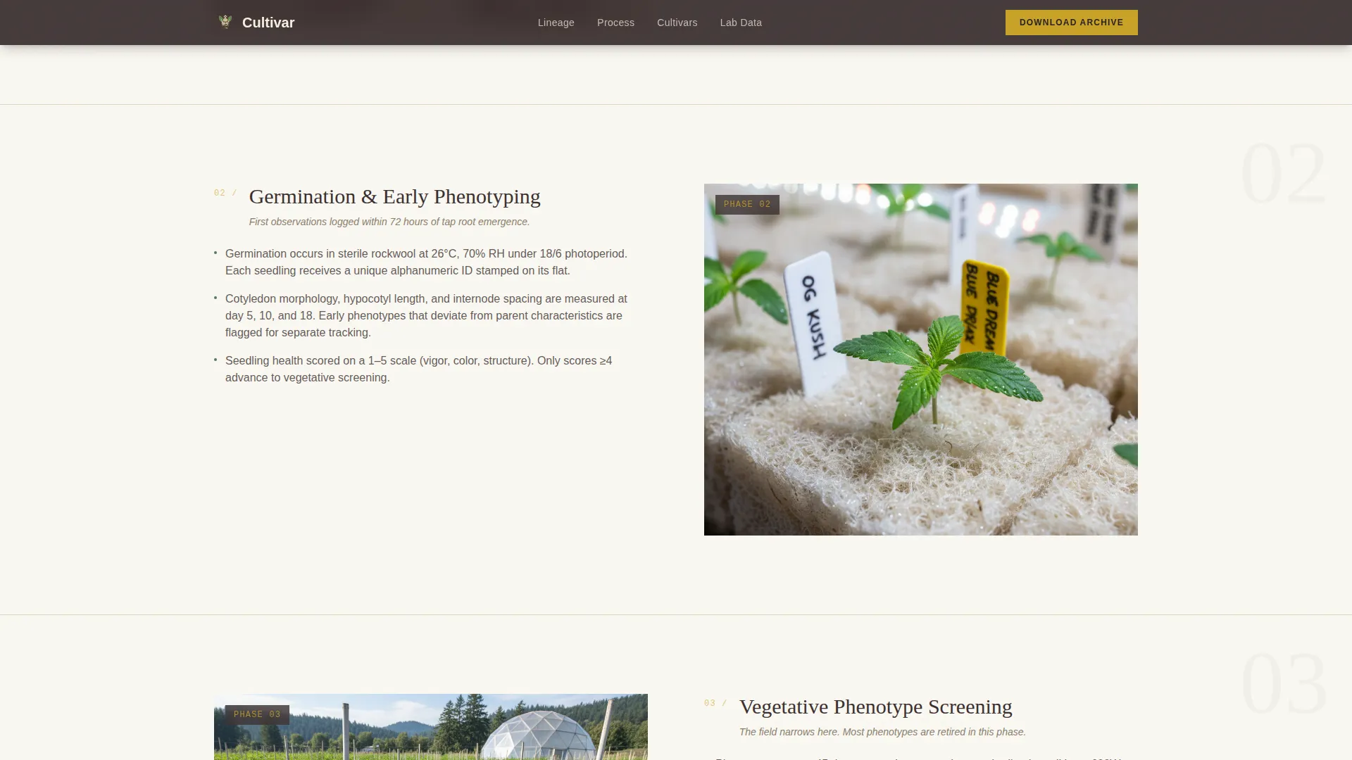Cannabis Industry Specialist Professional Website Template