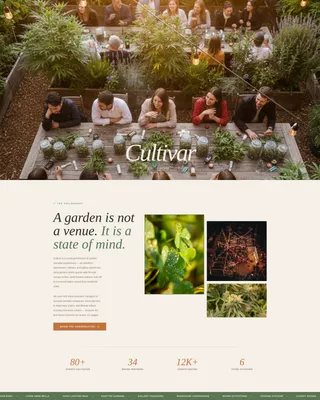 Immersive Cannabis Pop-Up Events Landing Page Template