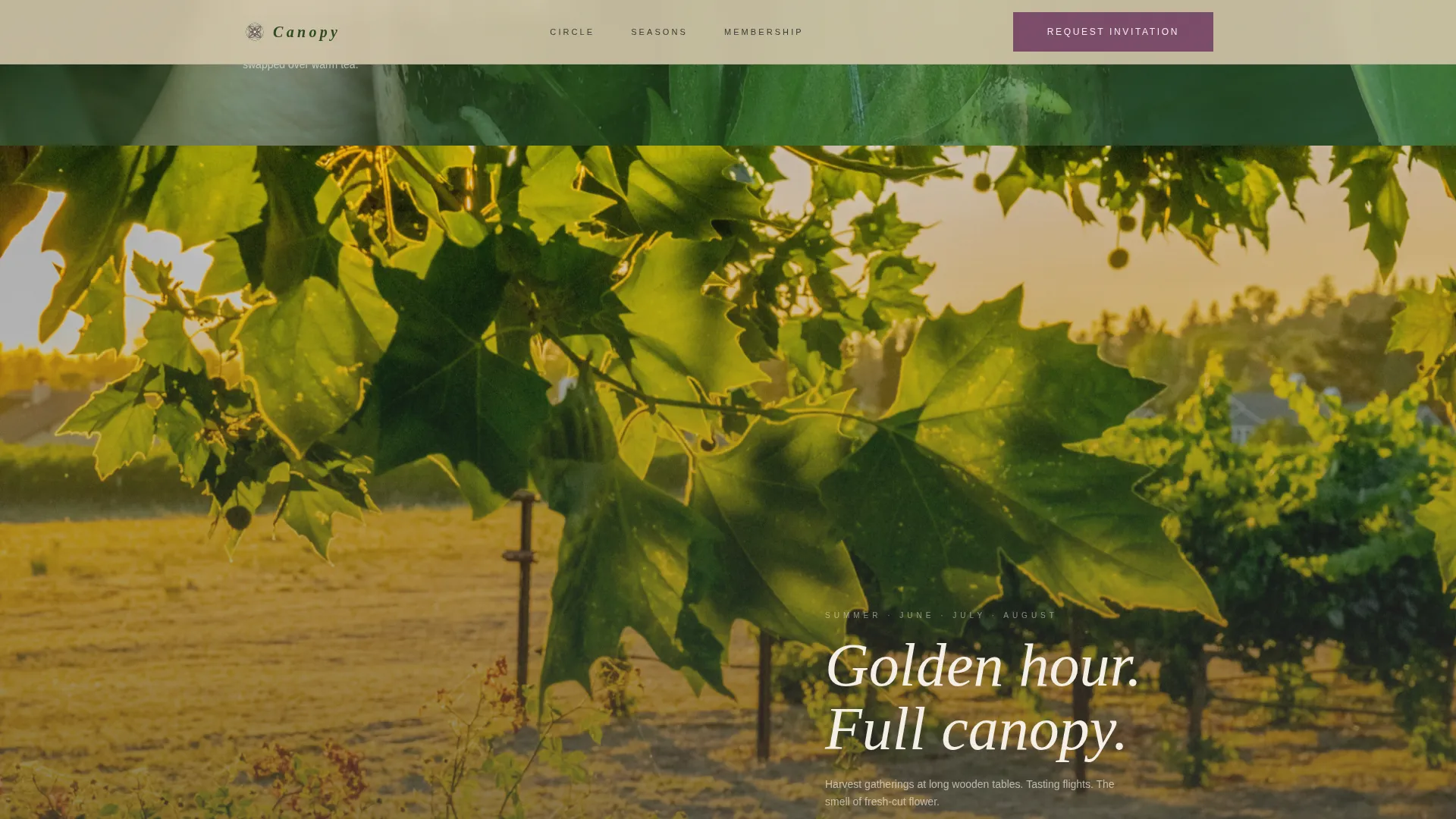 Cannabis Industry Professional Website Template