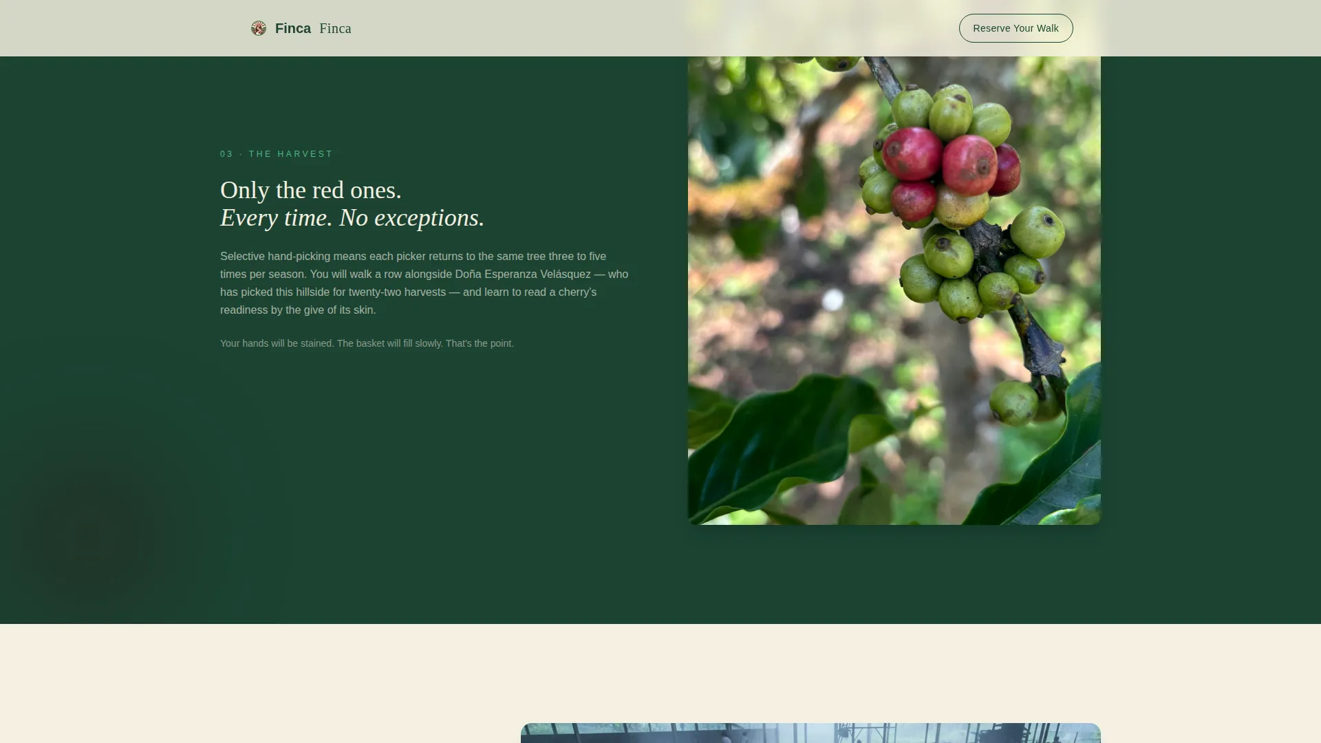 Agri-Tourism & Farm Experience Booking Website Template