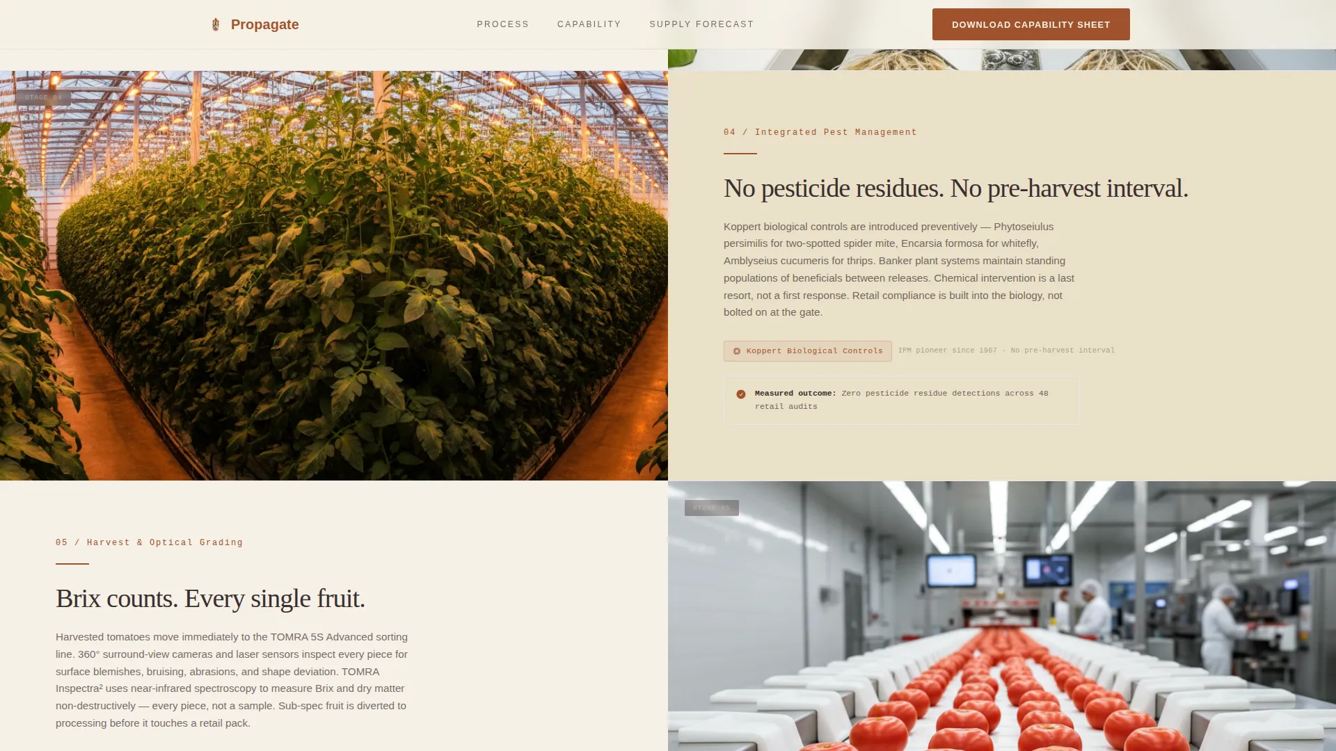 Greenhouse & Indoor Farming Reviews Website Template