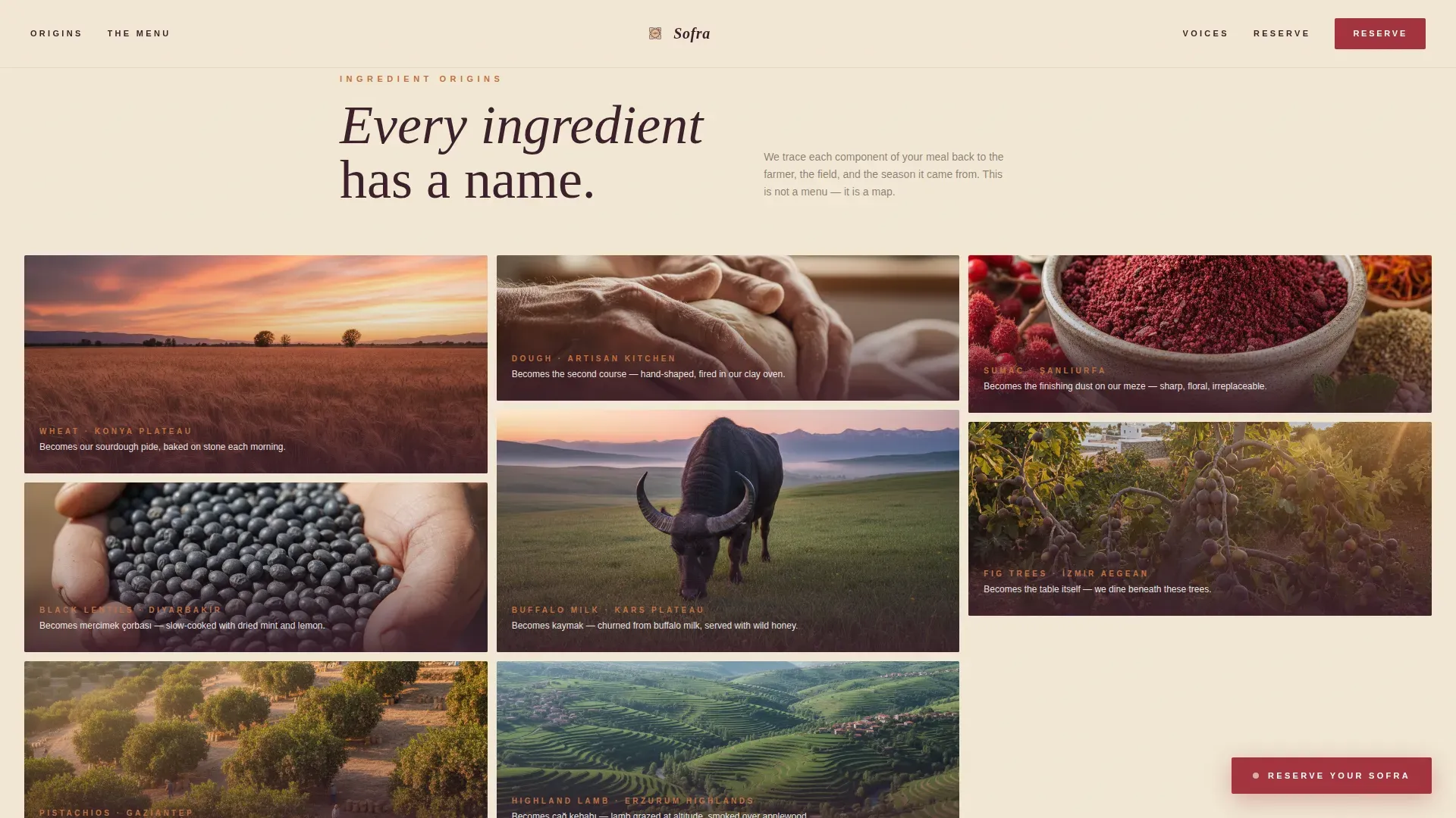 Anatolian Tasting Menu Landing Page Template