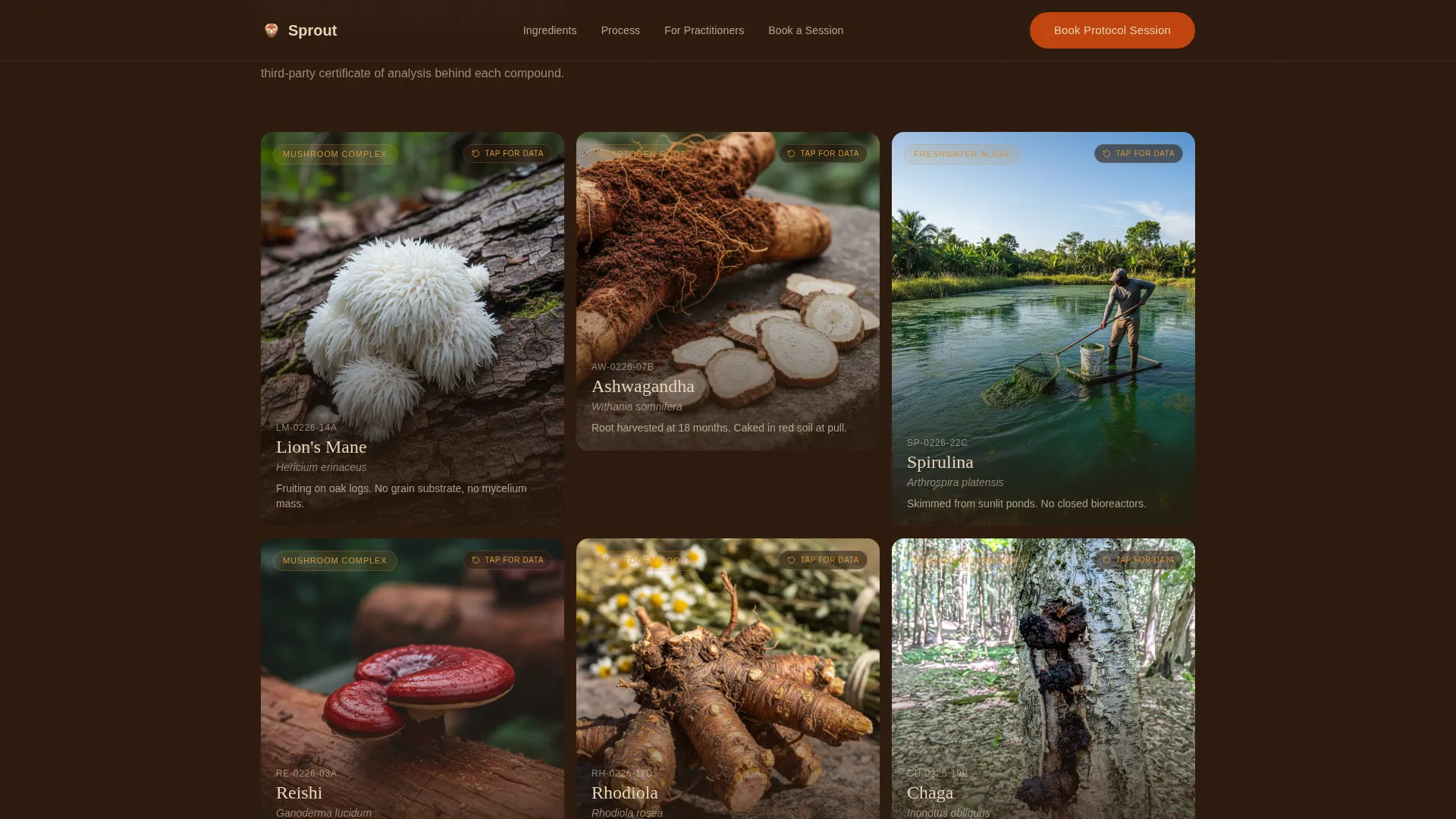 Vegan Food & Dining Booking Website Template