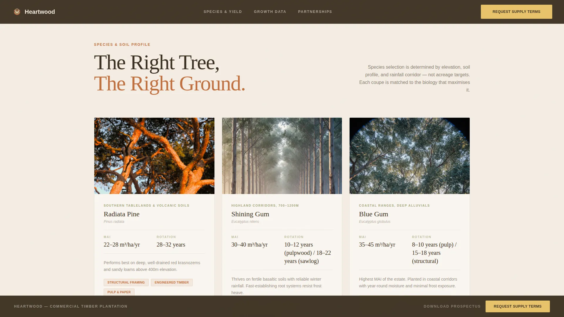 Forestry & Timber Privacy Policy Website Template