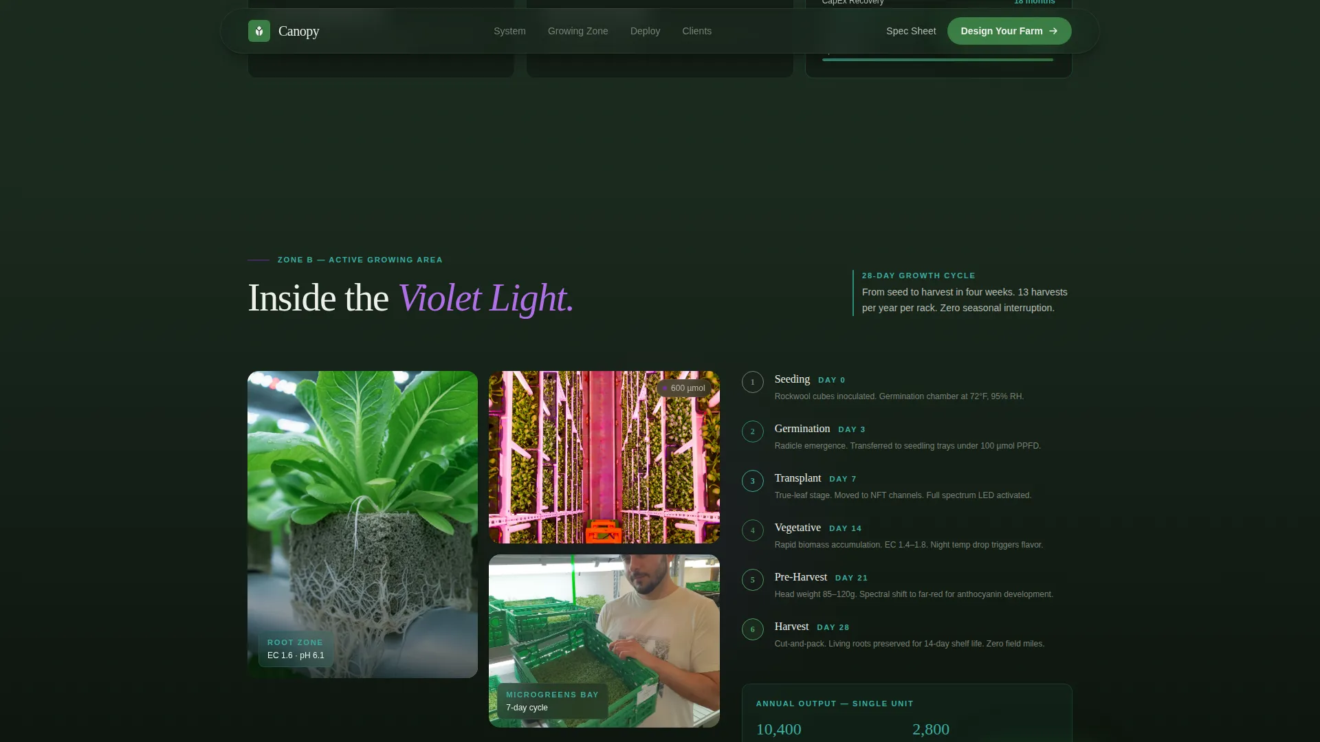 Urban Agriculture Professional Website Template