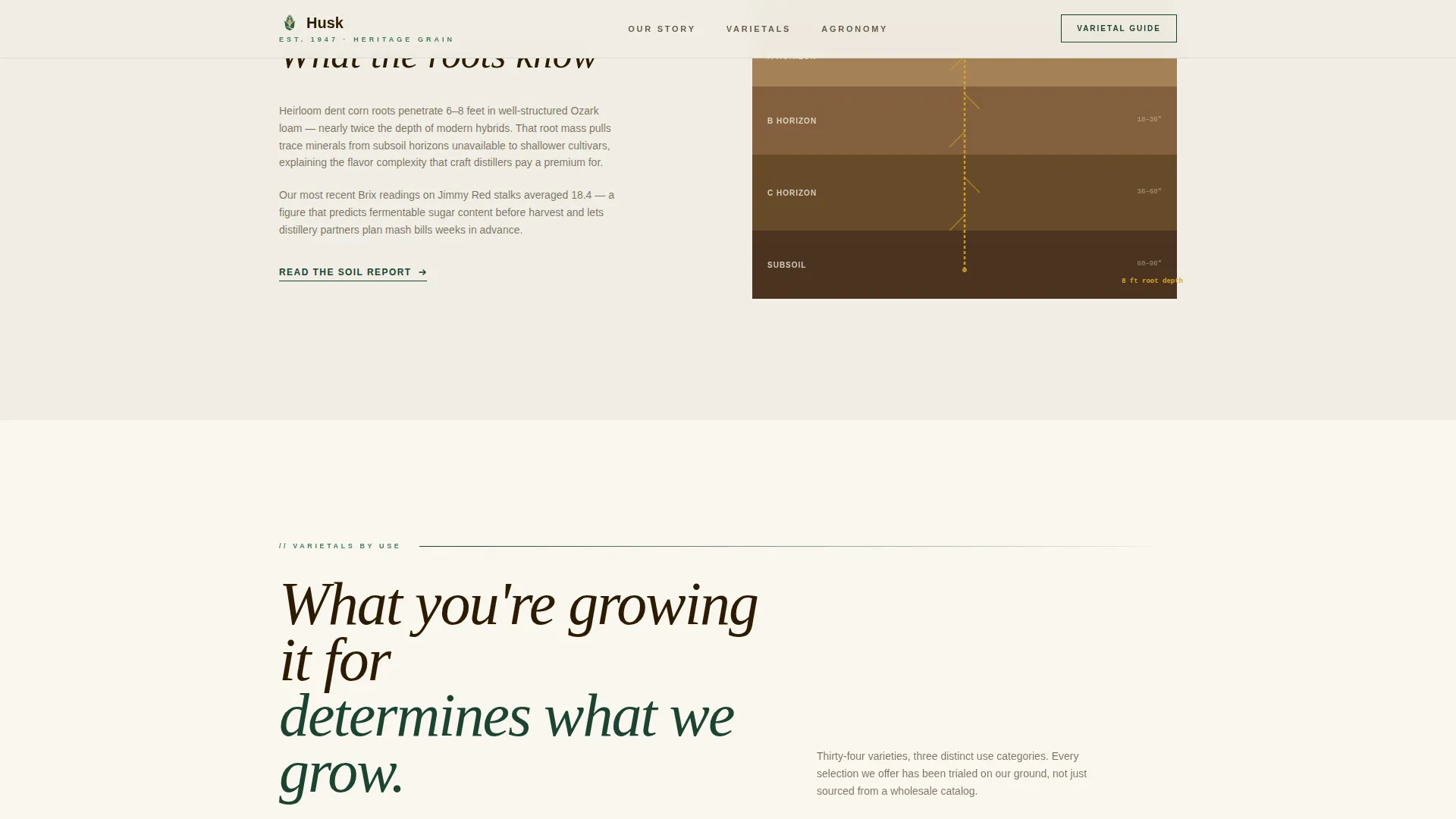 Crop & Grain Farming Blog Website Template