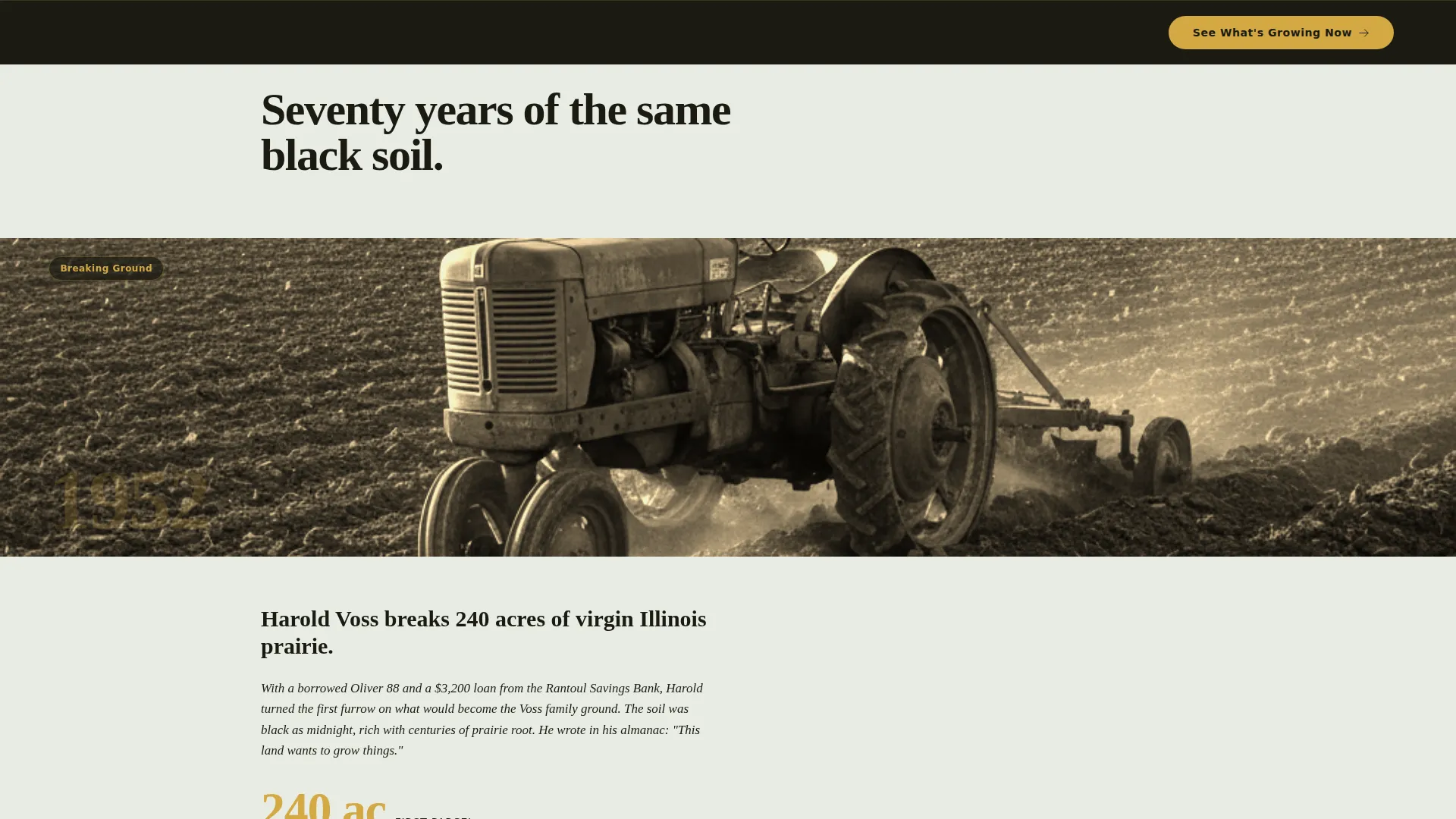 Crop Farm Landing Page Template | Immersive Agricultural